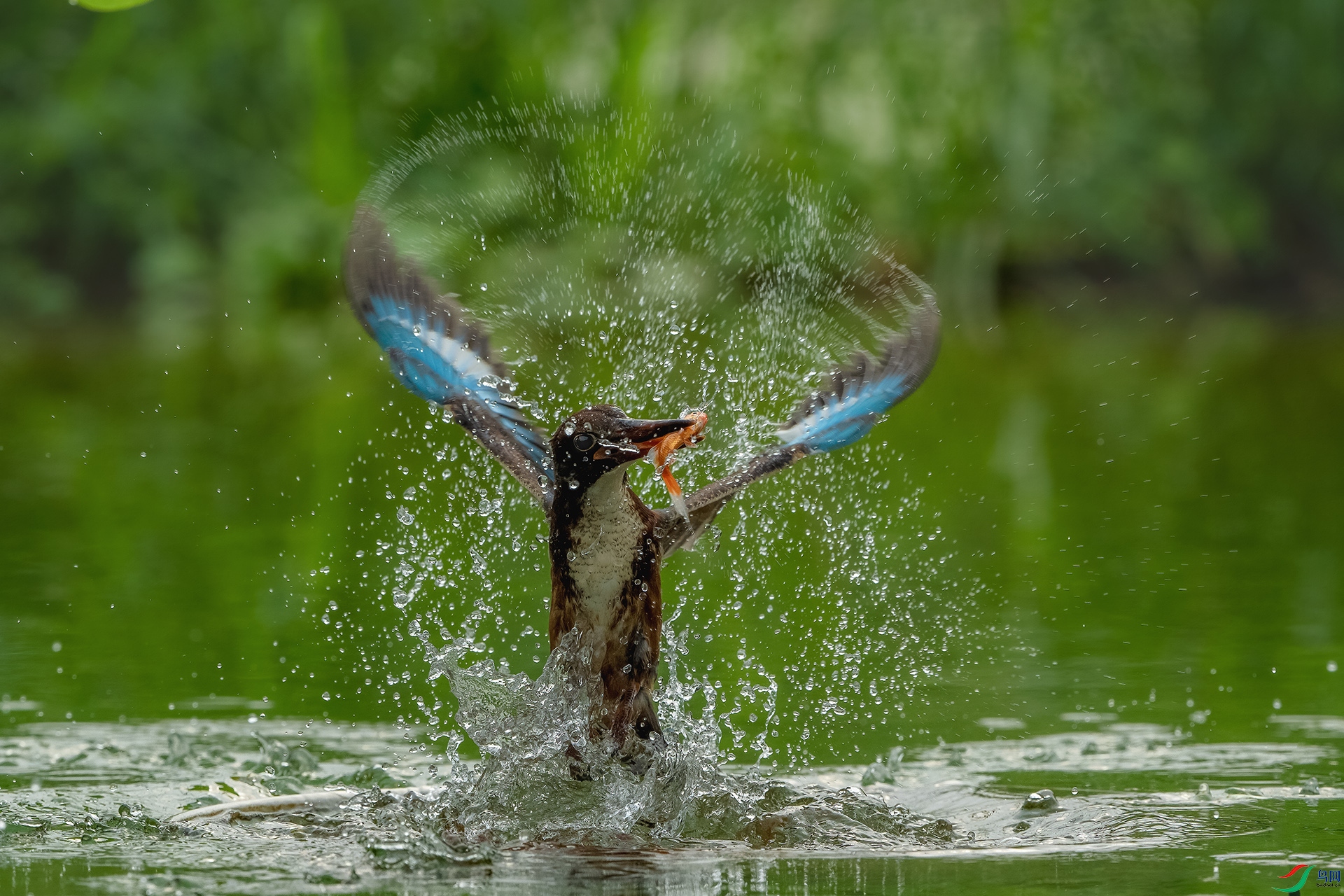 _DSC3134 ����С.jpg