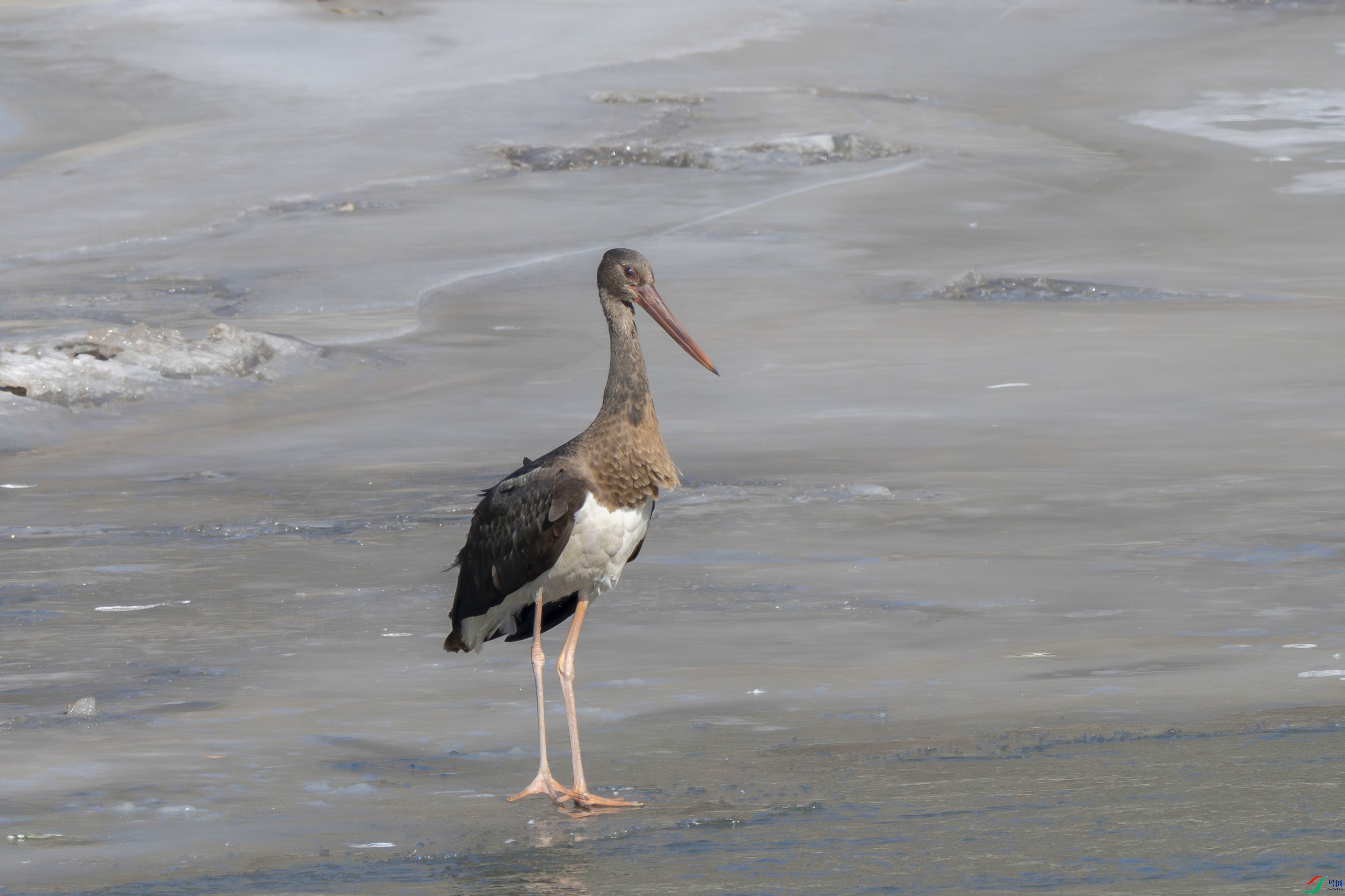 DSC_0185.jpg