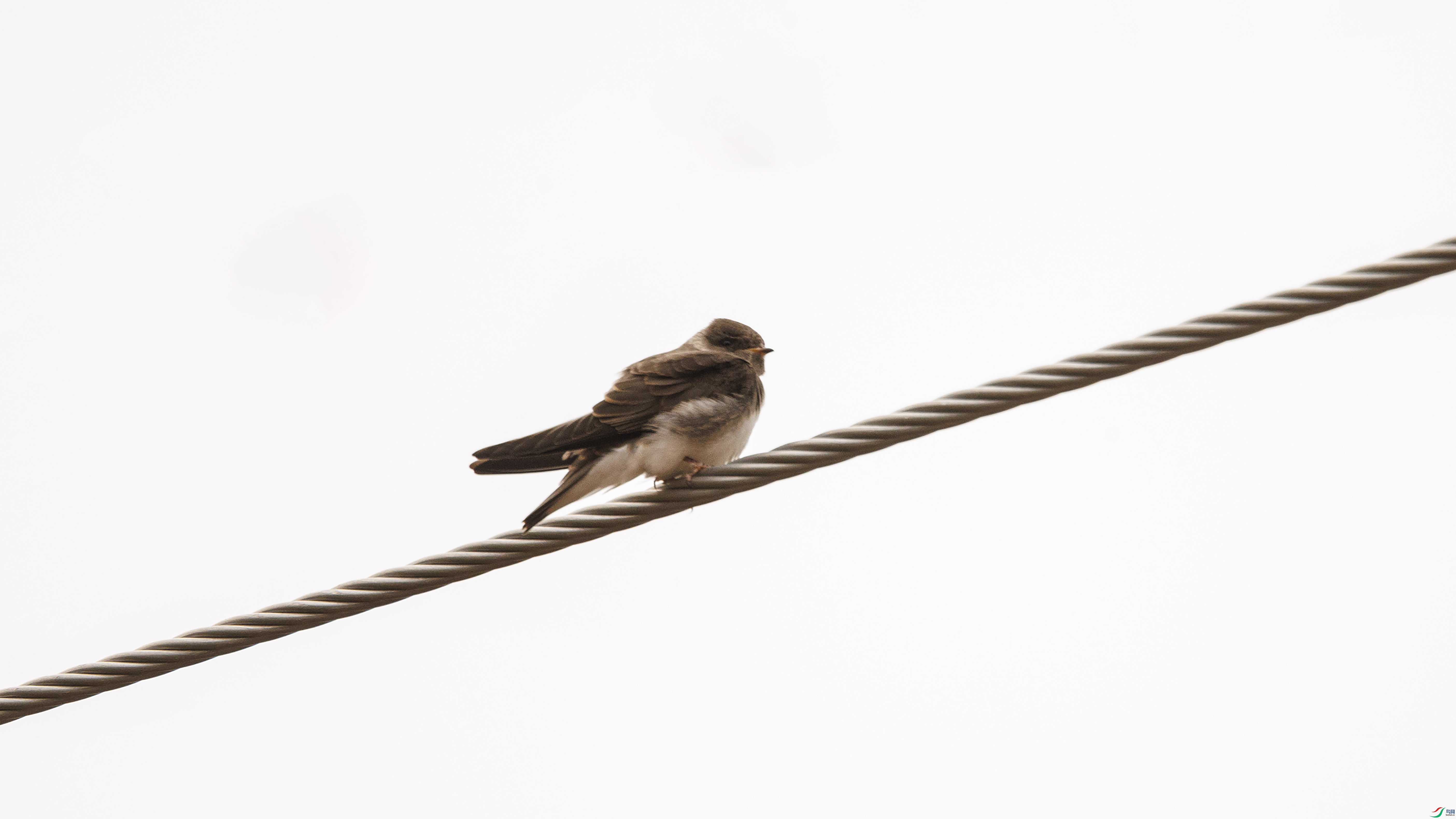 7X5A1247 ����.jpg