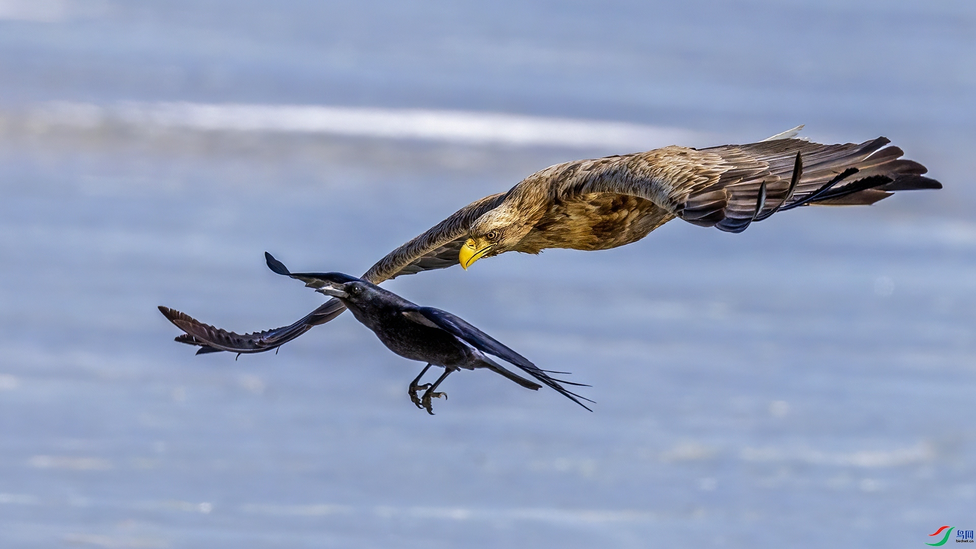 ǿ��׷�� ���� ������ ����.jpg