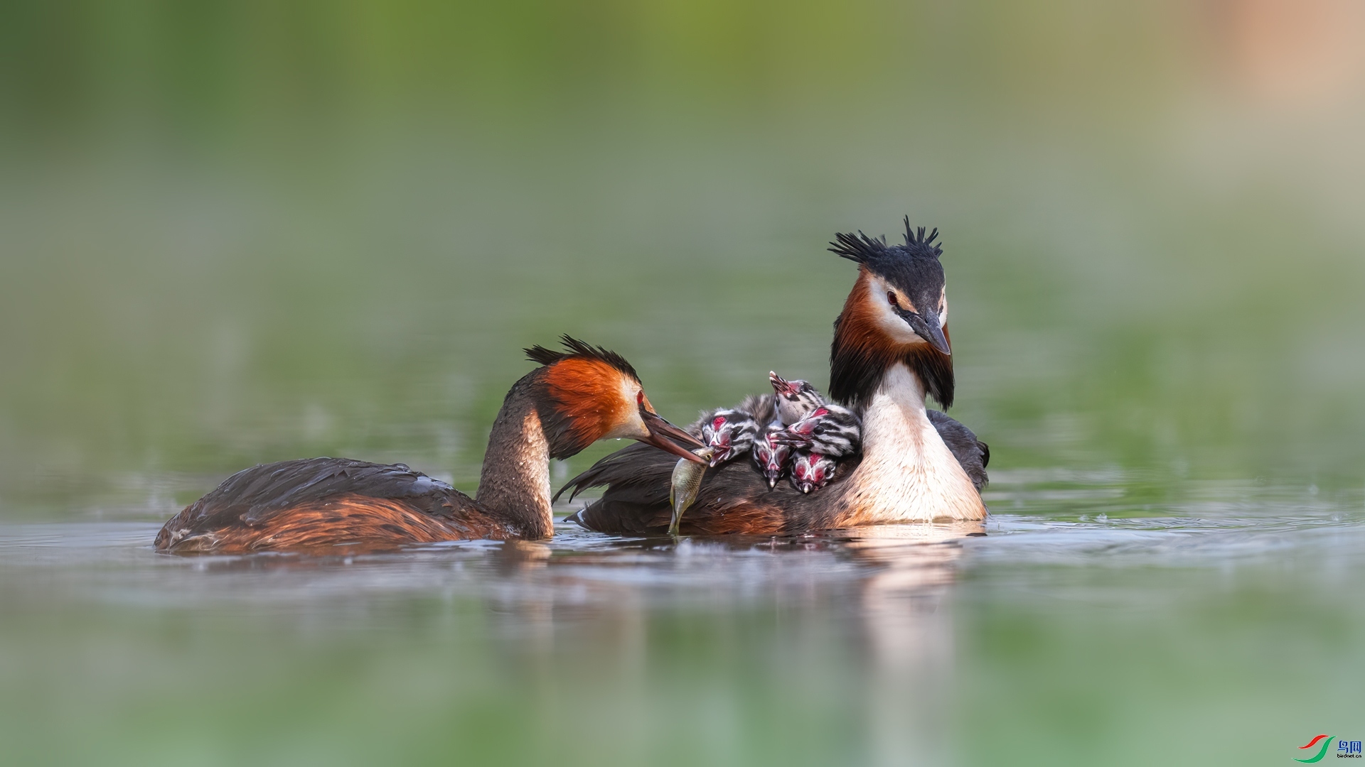 ����  ���� ���� ����.jpg