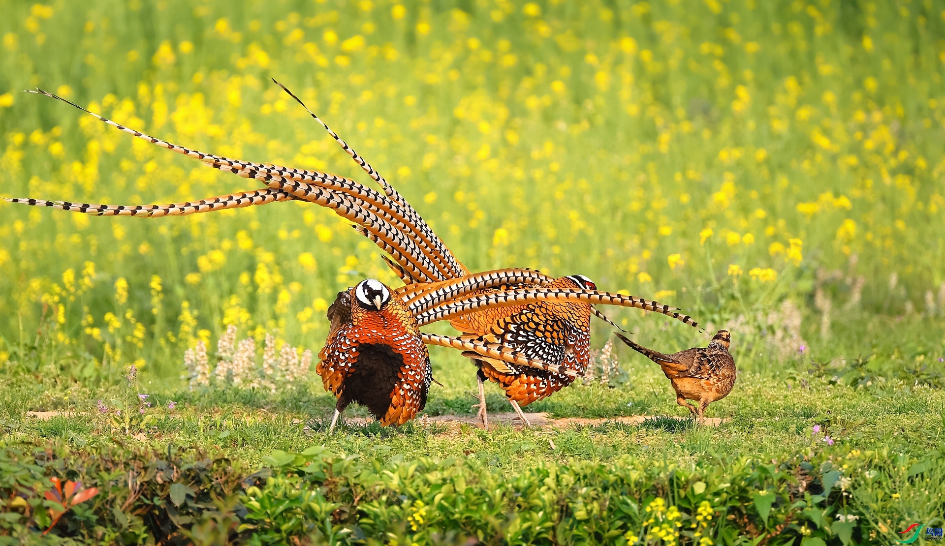 ׷�� ���� ���� ����.jpg