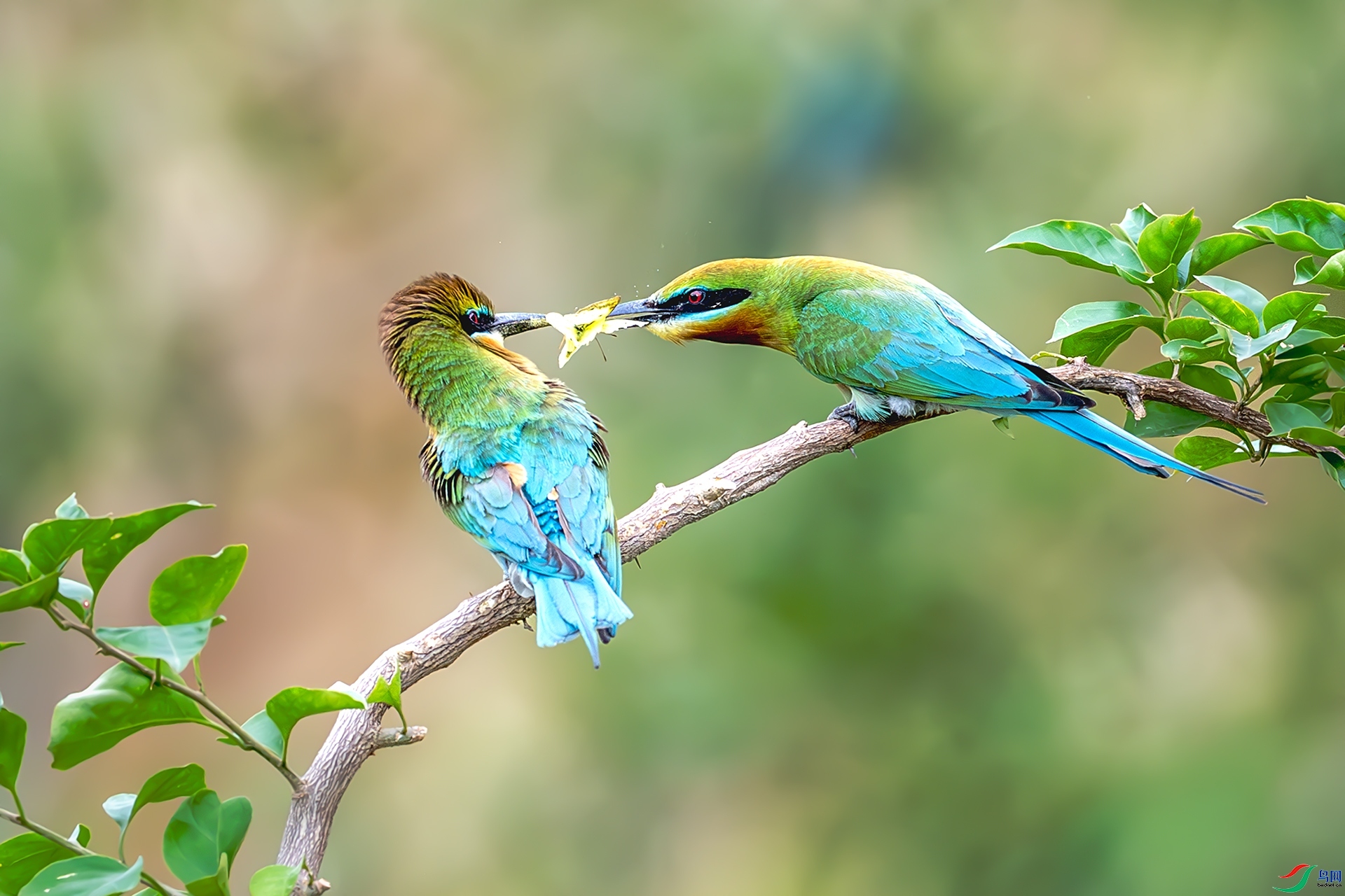 ǫ�� ���� ����ǿ ����.jpg