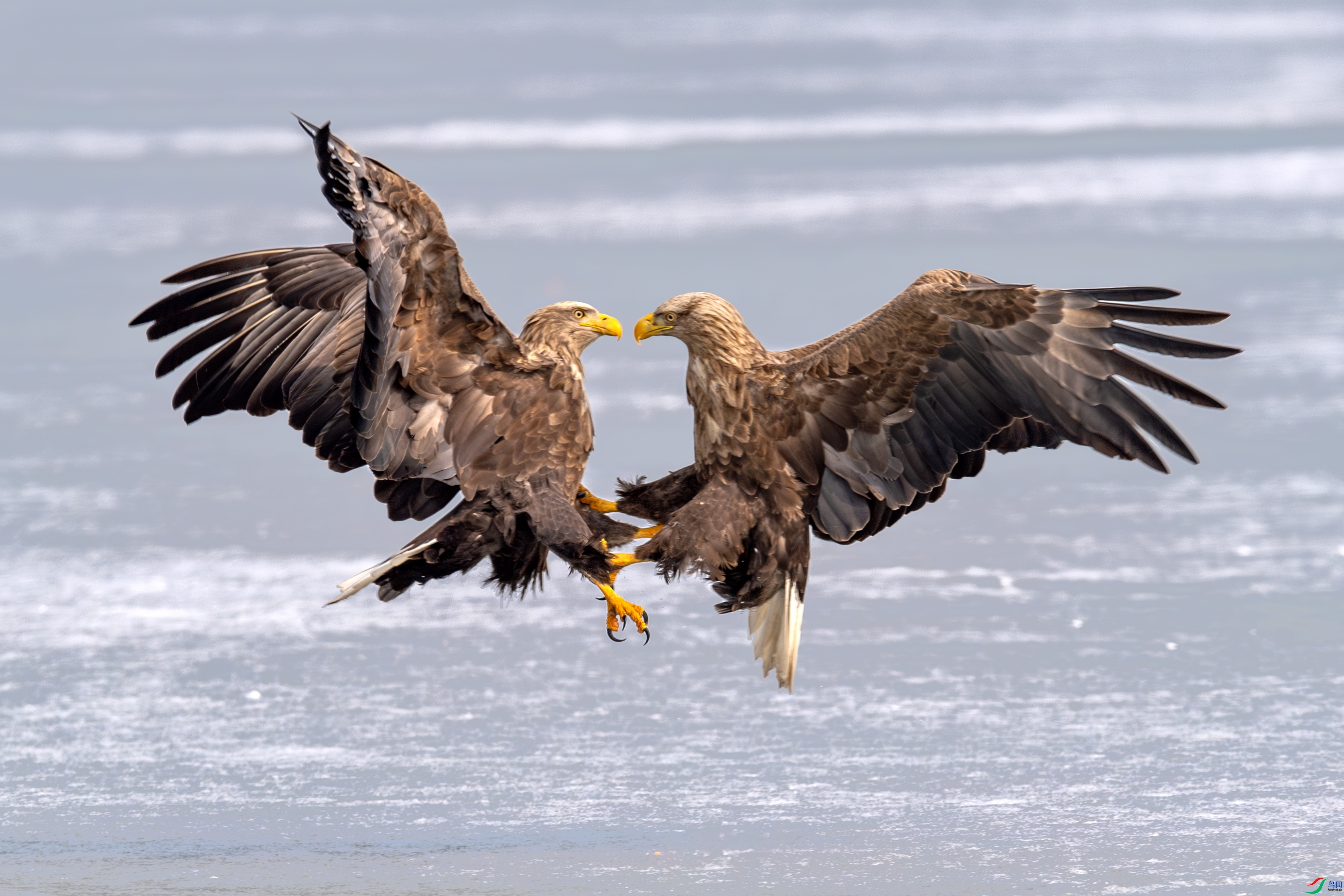 �Ծ� ���� �ٻ� ����.jpg