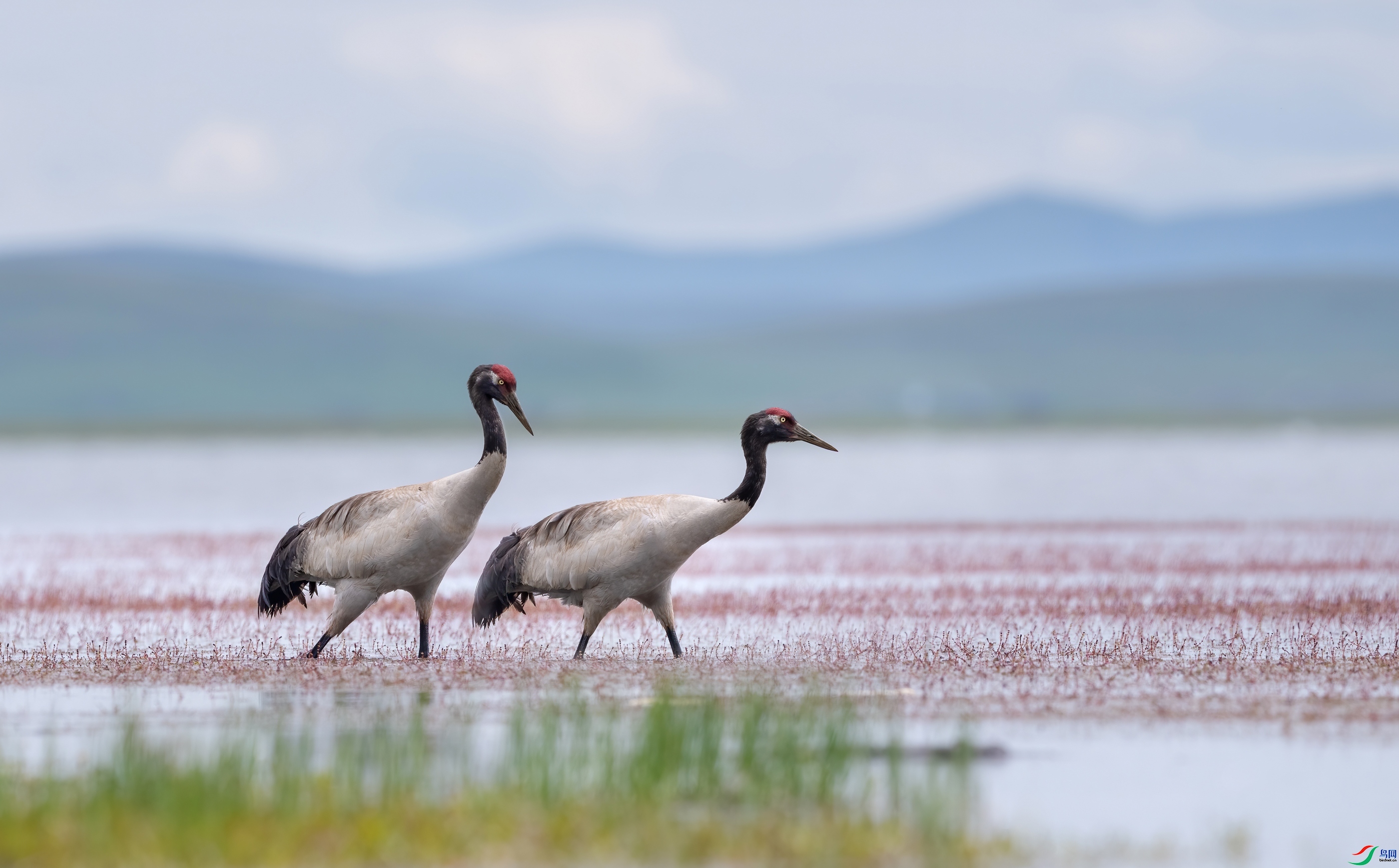 ʪ����ٳ  ���� ��Ͽ֮�� ����.jpg