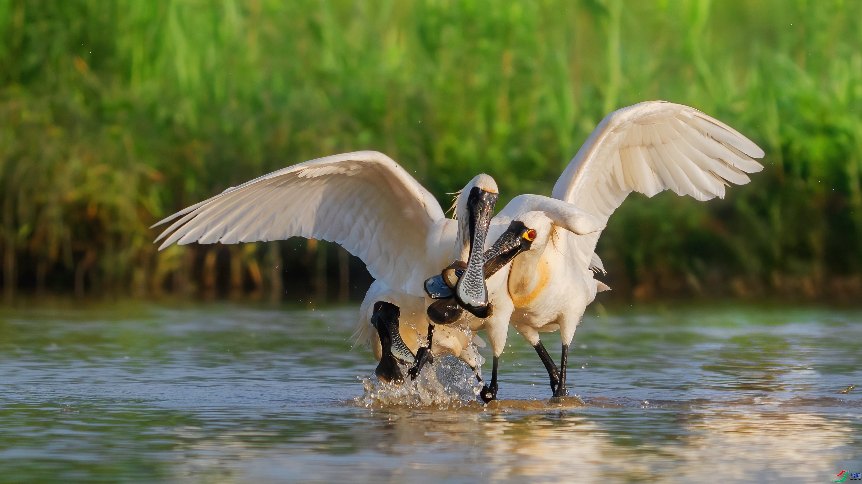 ����  ���� С�׺� ����.jpg