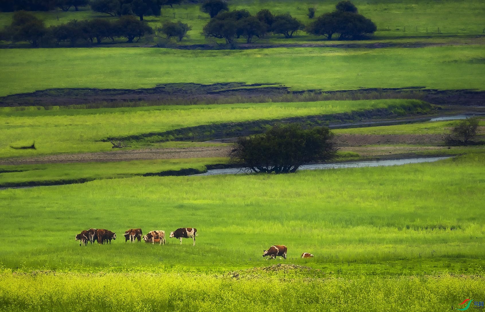 �����Ĳ�ԭ