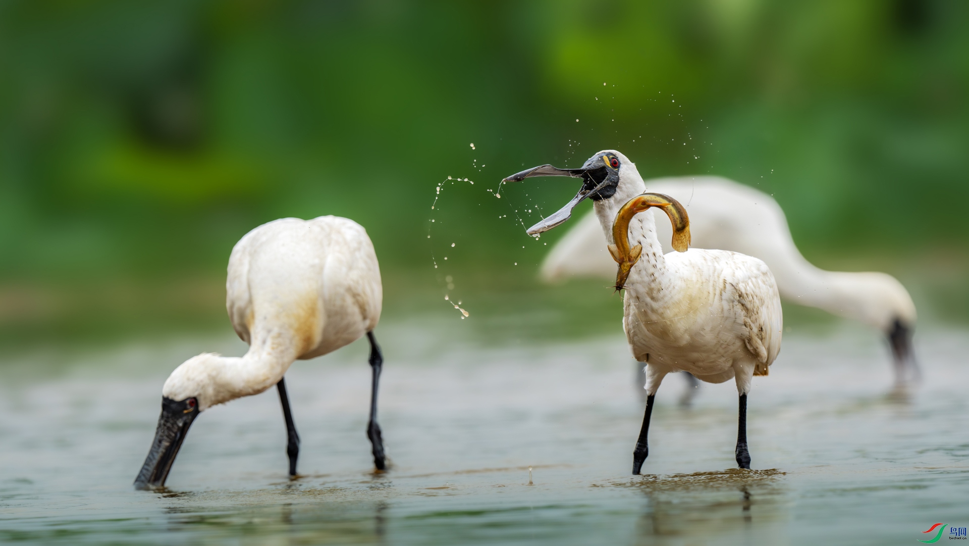 DSC0-����ǿ-NR ���� 2.jpg