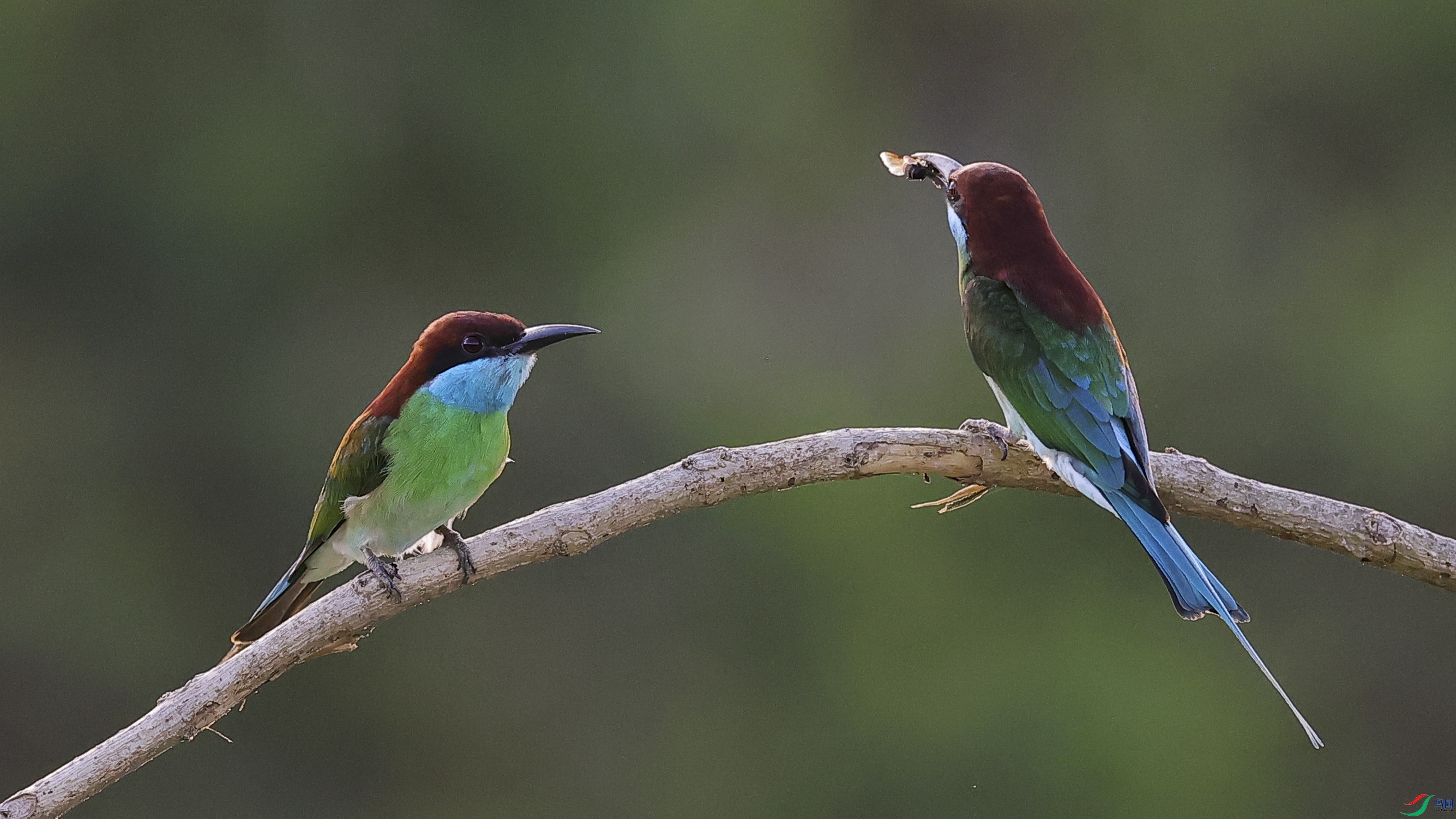 4Z6A2963.jpg