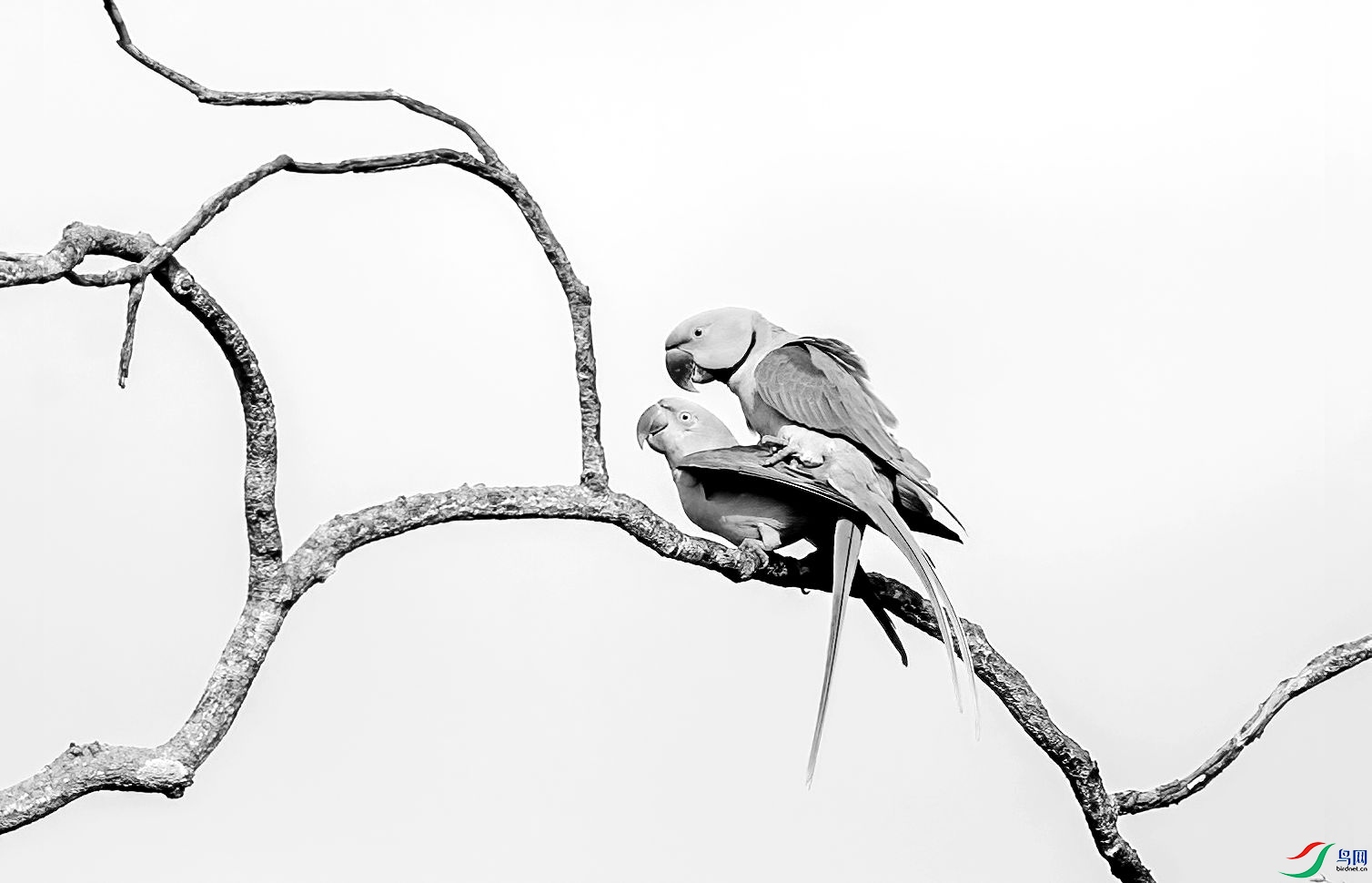 AC3I3602 ����_����.jpg