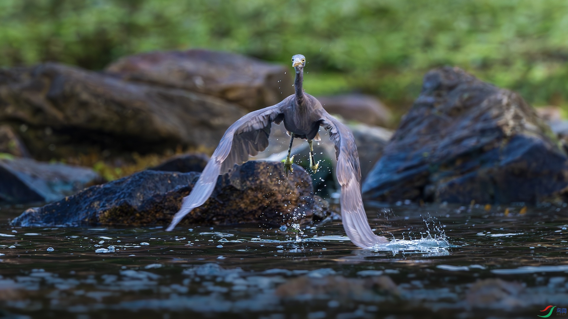 1-2_XXL4011-����ǿ-NR ����.jpeg