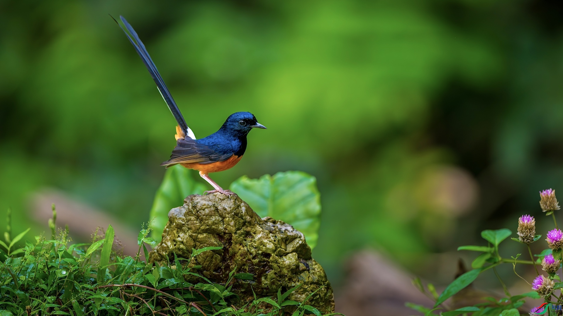 1-3_XXL6147-����ǿ-NR ���� 2.jpeg