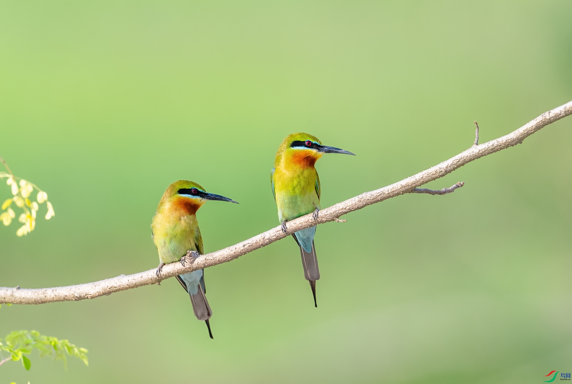 DSC_7314-1.jpg