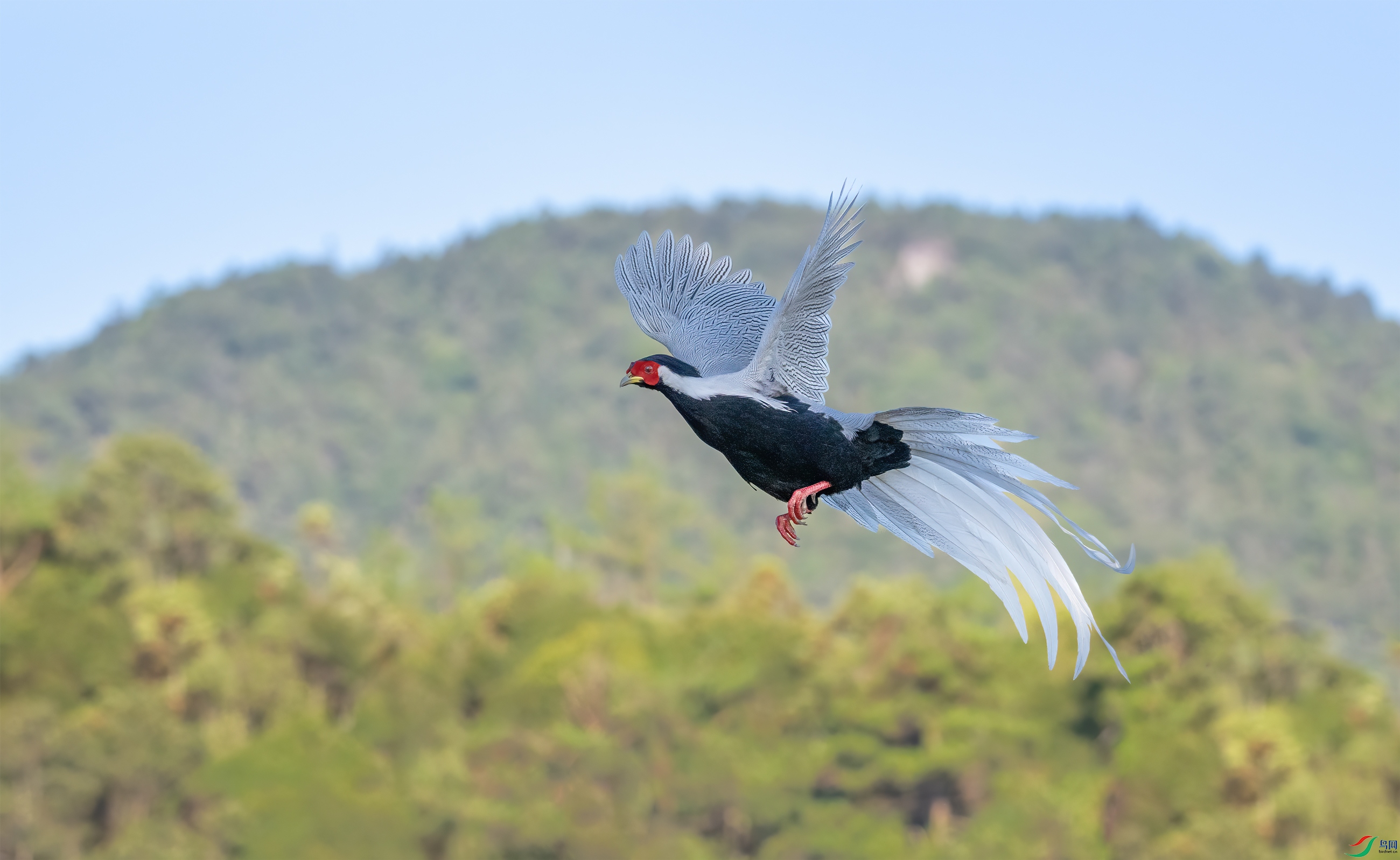 DSC_6117-11.jpg