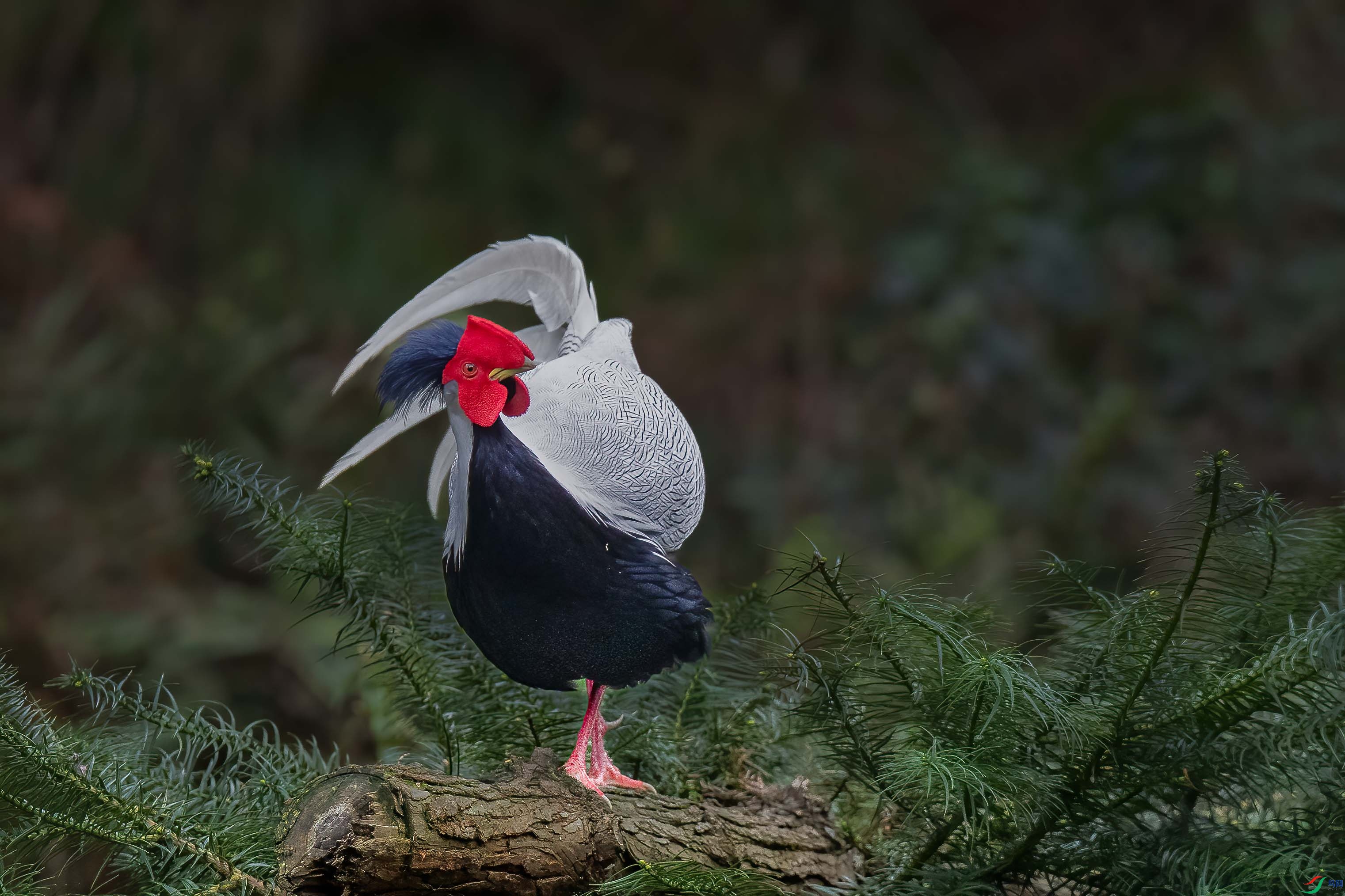 AB2I5634 ����.jpg