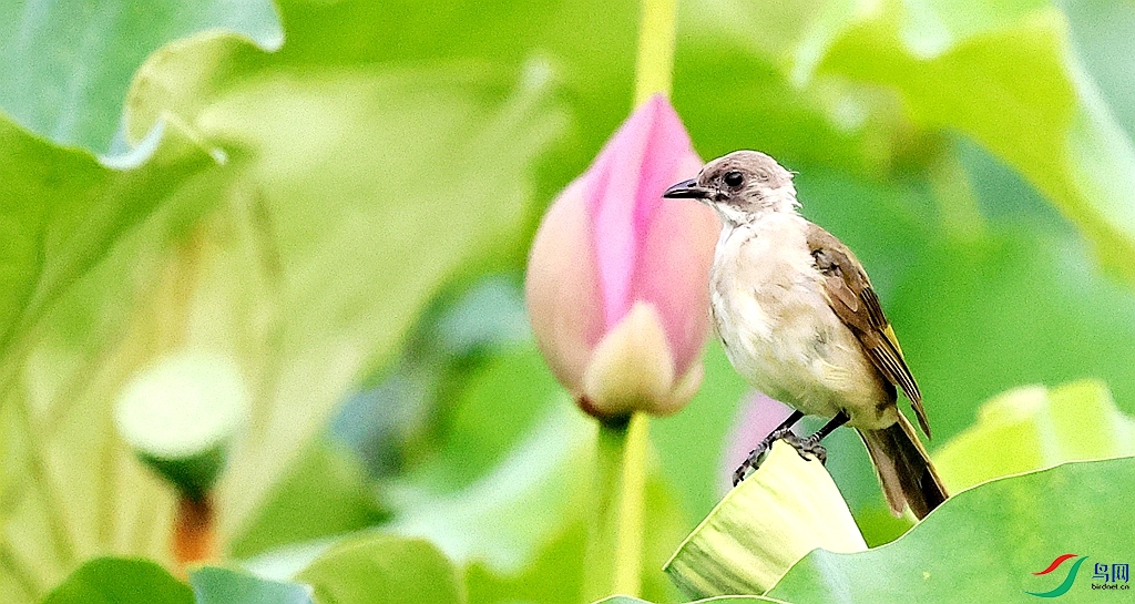 1P3A3832.JPG