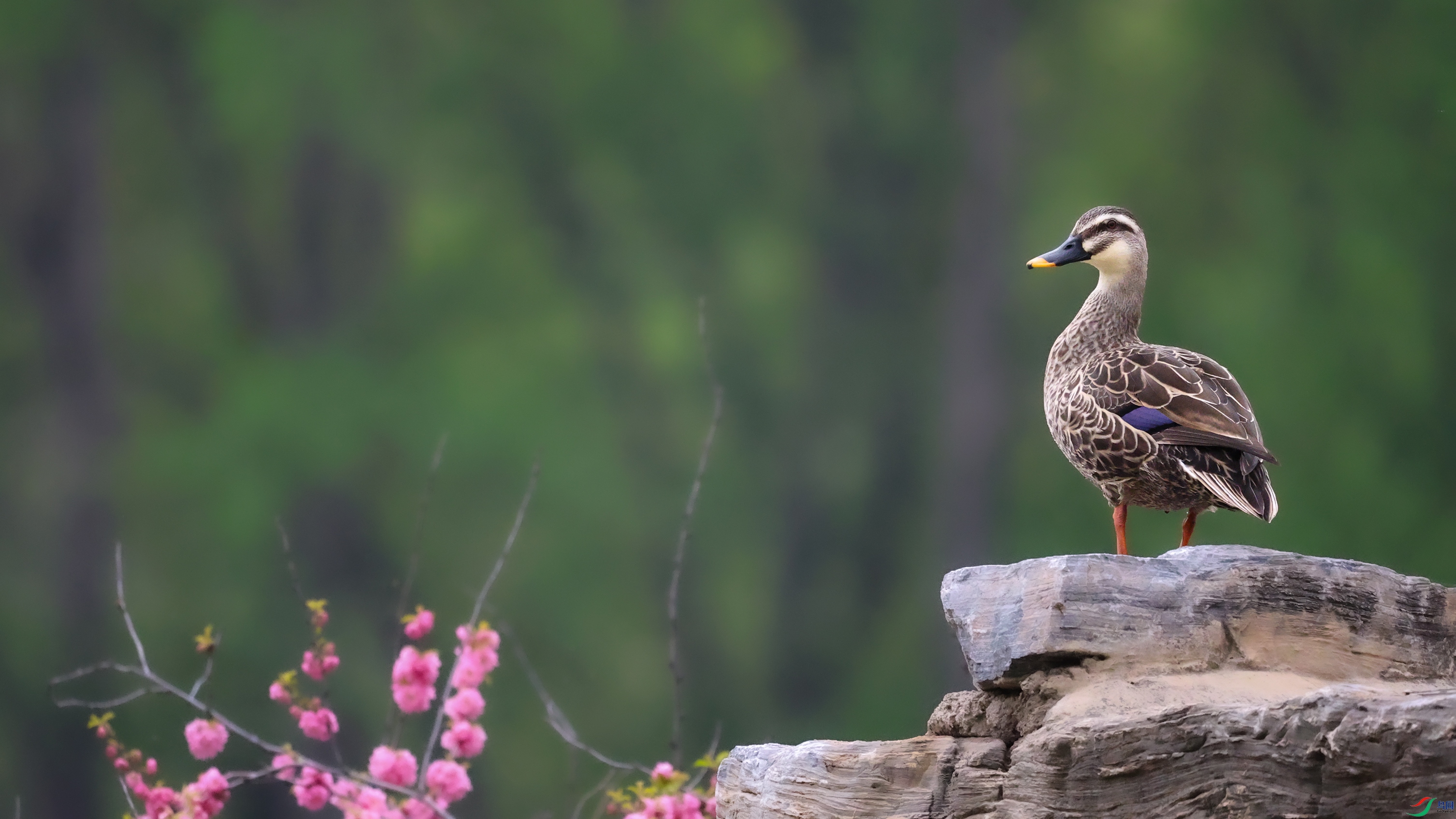 7X5A4669 ����000.jpg