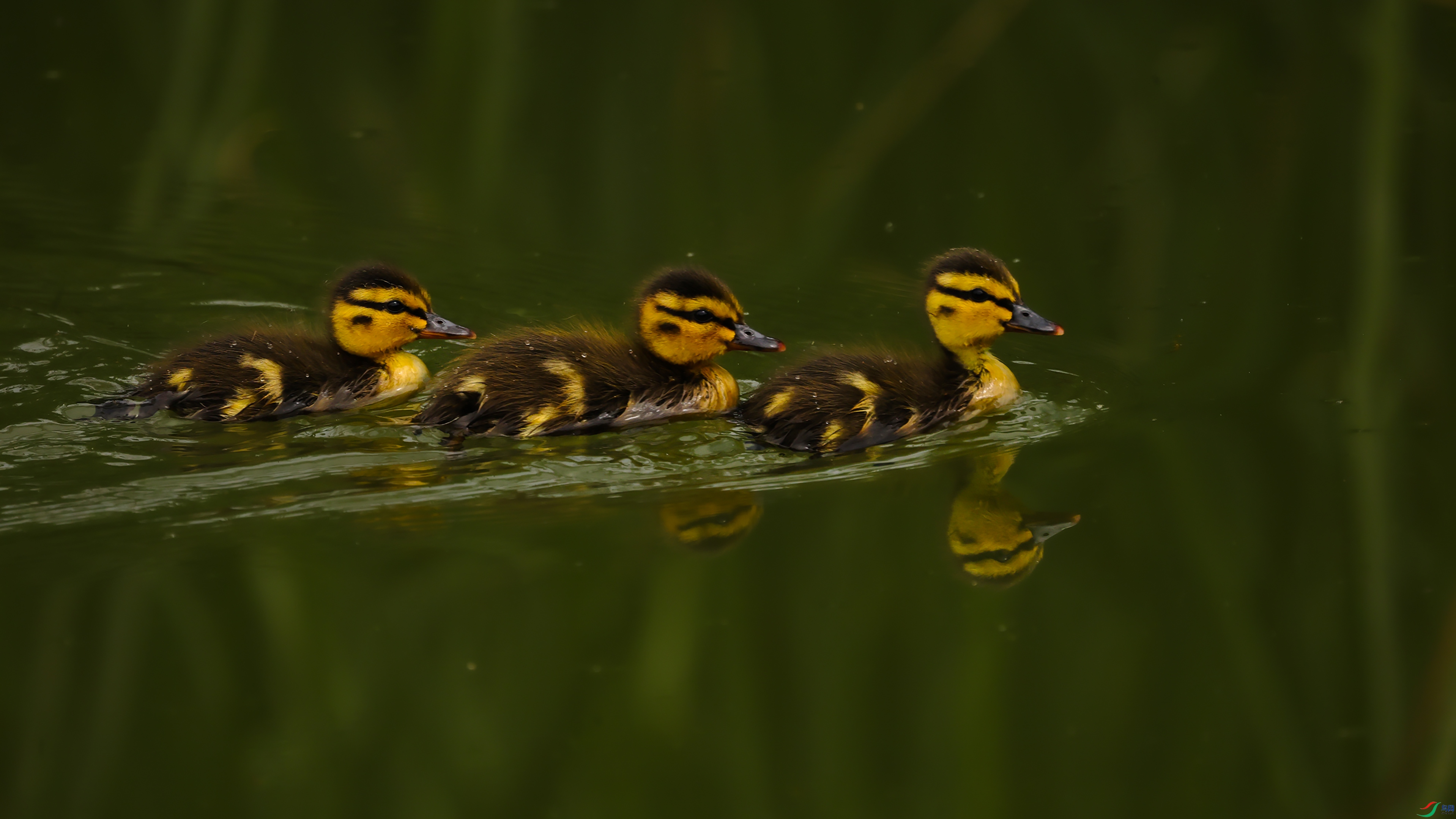 7X5A4255 ����6666.jpg