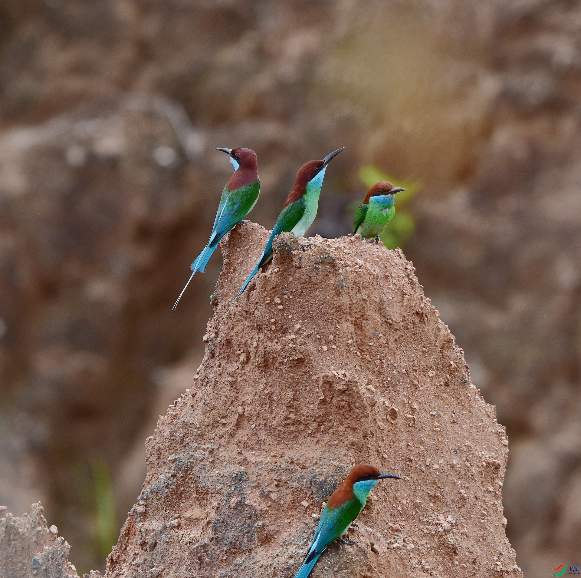 D8I_2092.jpg