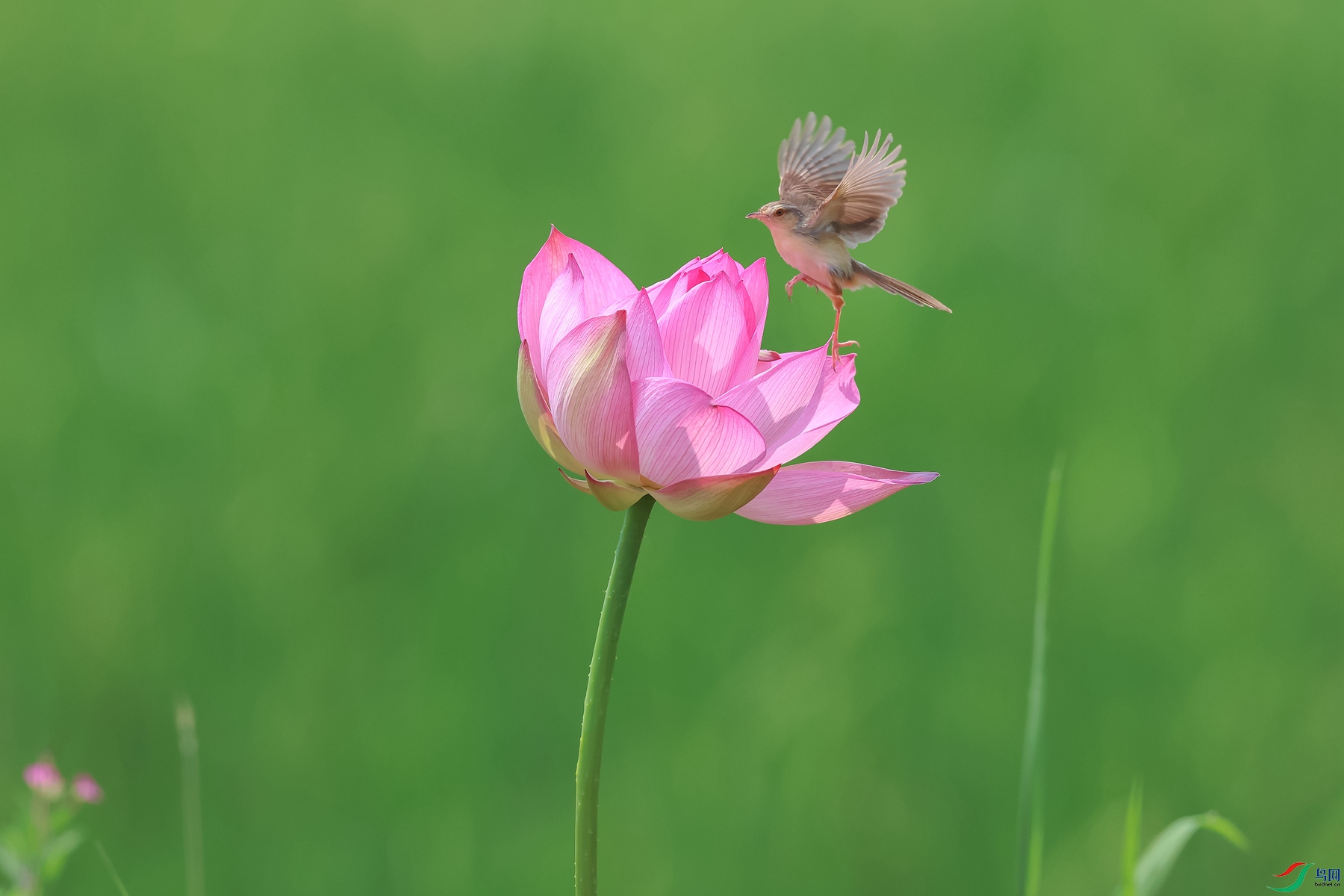 0E2A0672_����.jpg