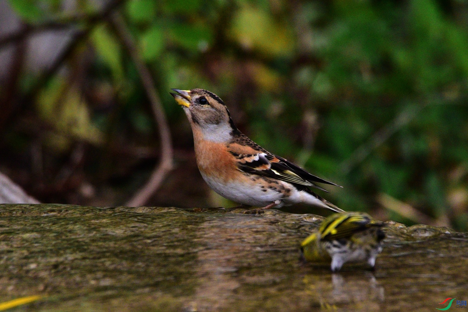 DSC_6783.JPG