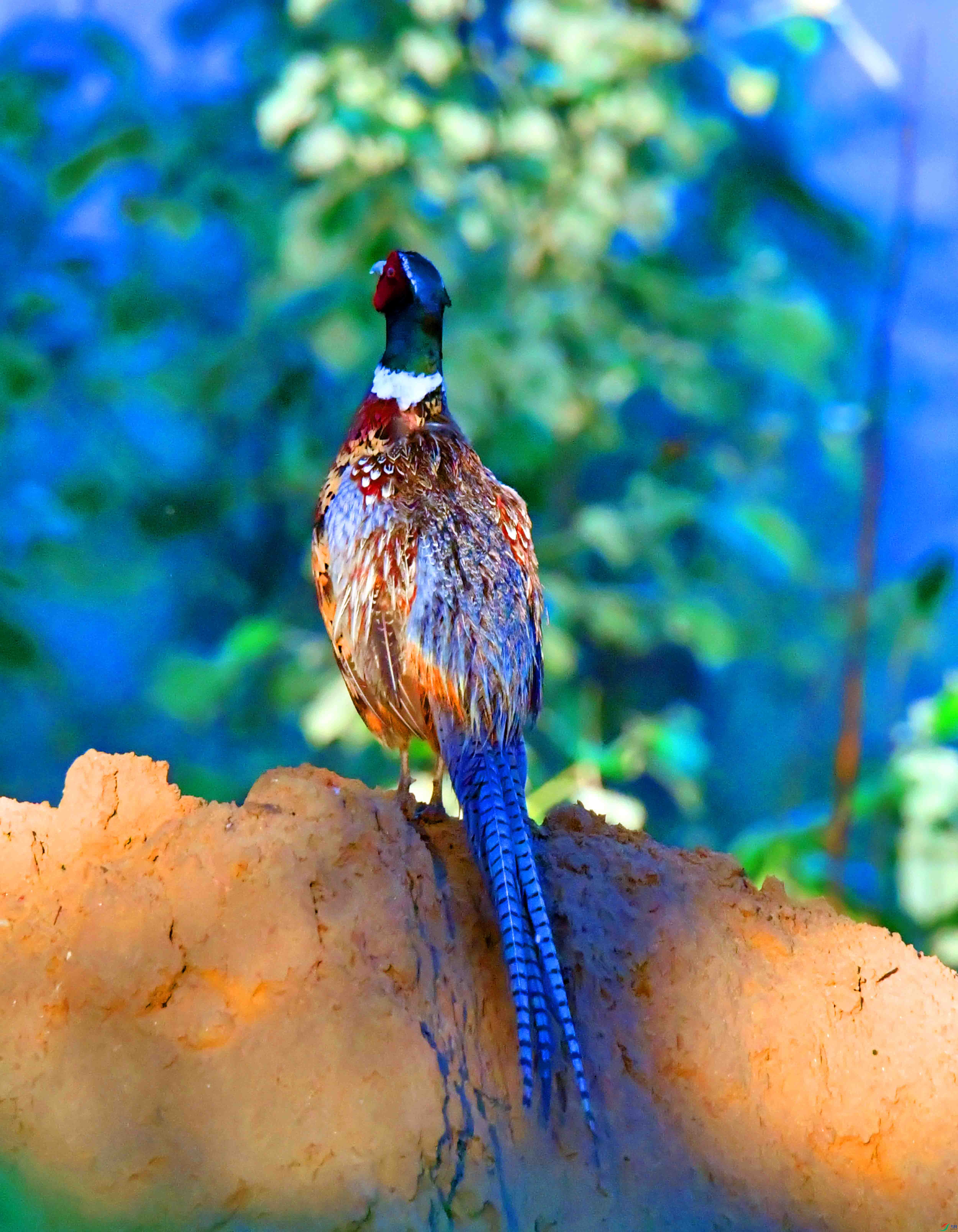 DSC_2762.JPG