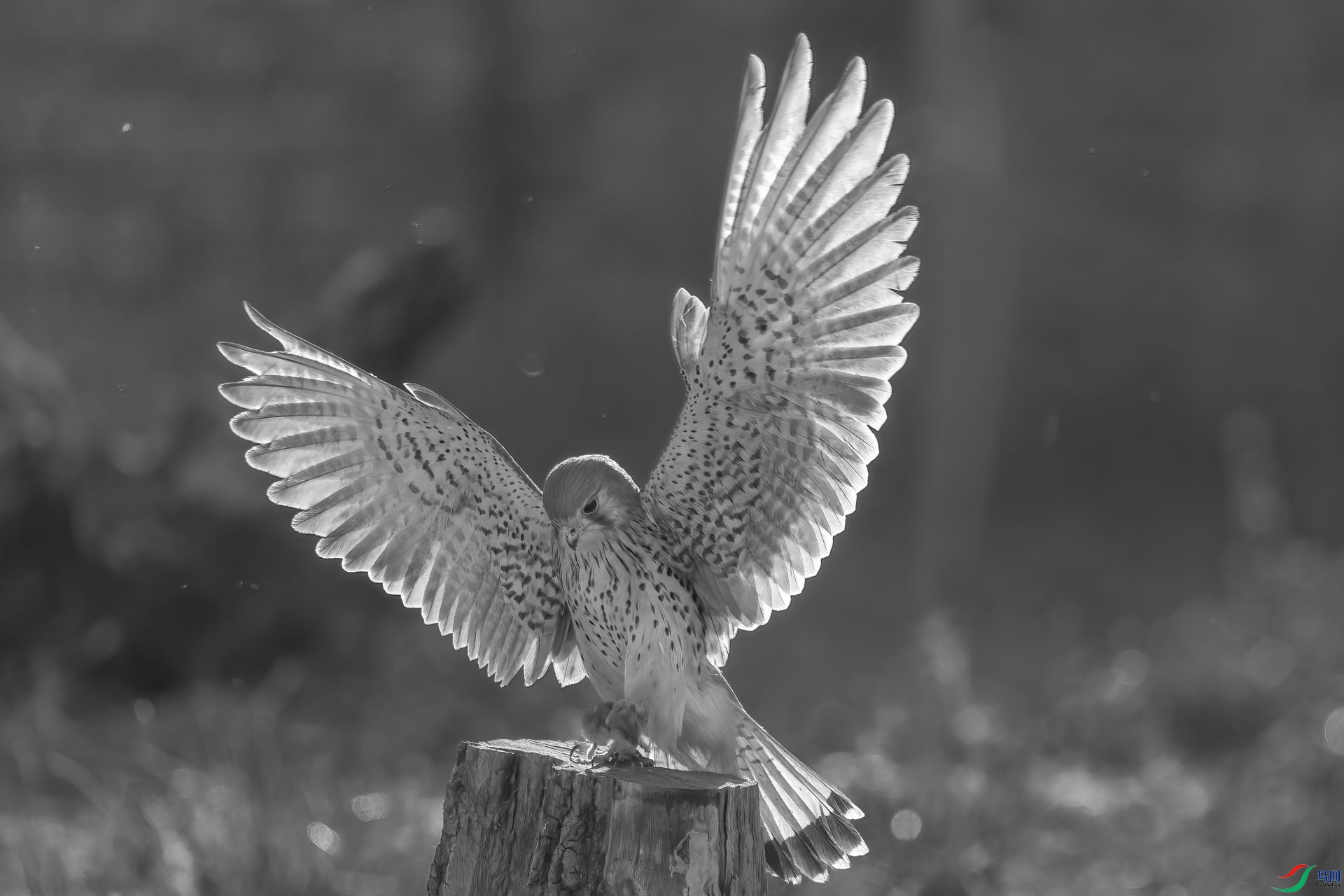 EV3W0013 -�༭.jpg