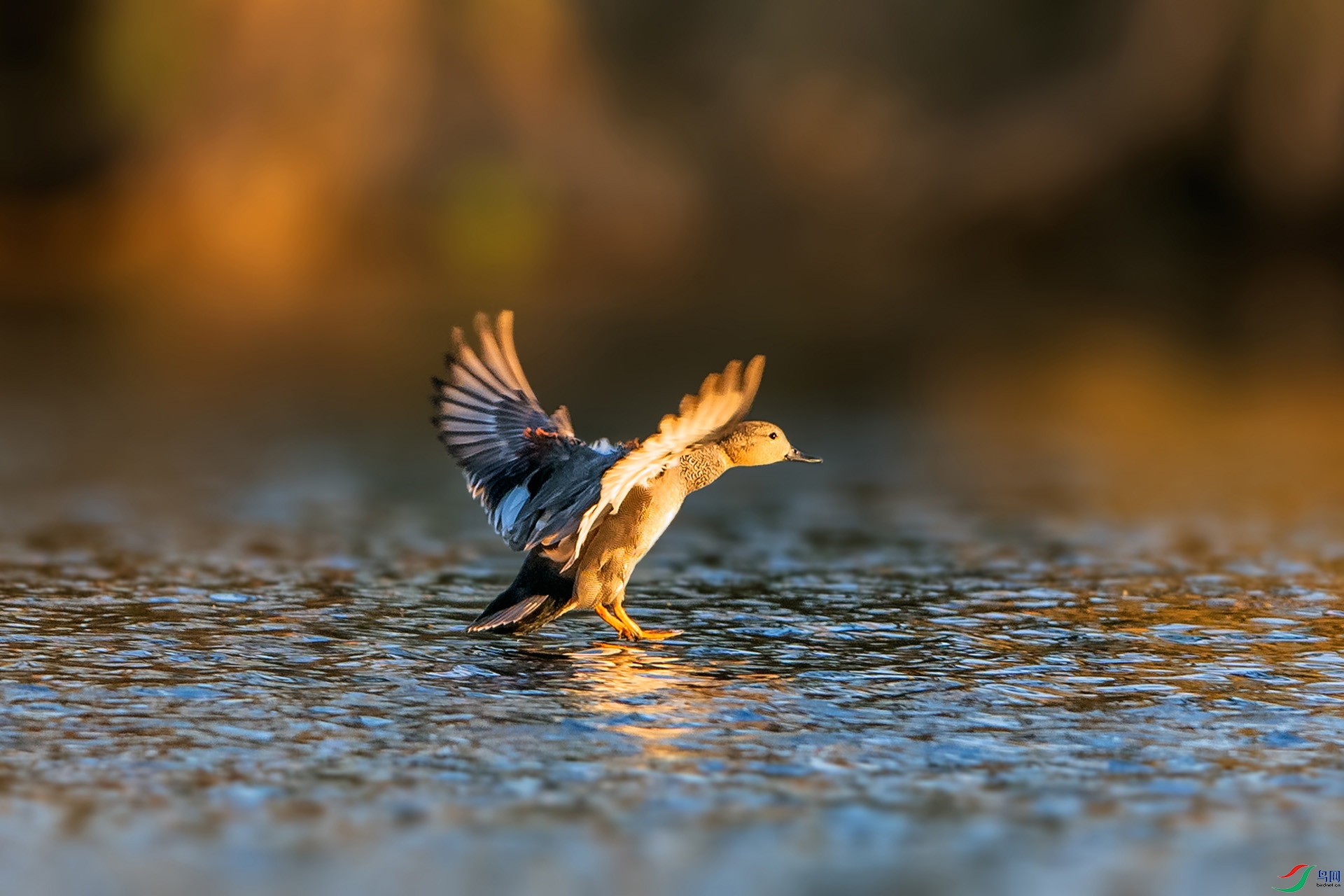 ��_AUU8410����½(23.1.5)-1.jpg