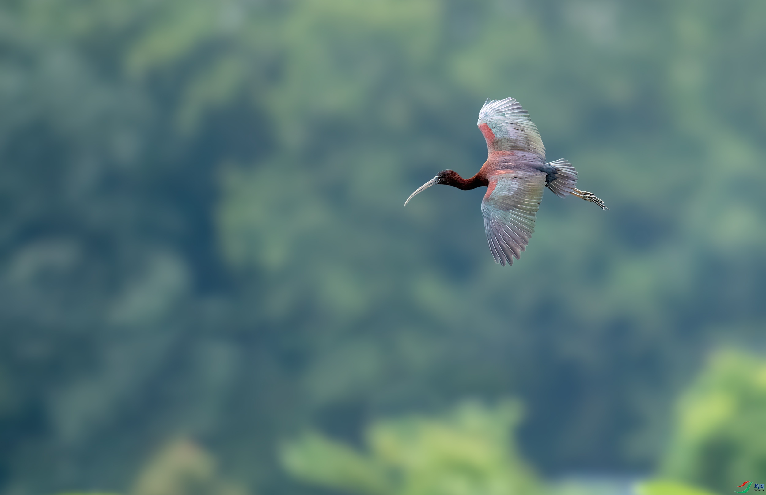 AW2I5073n1 ����x.jpg