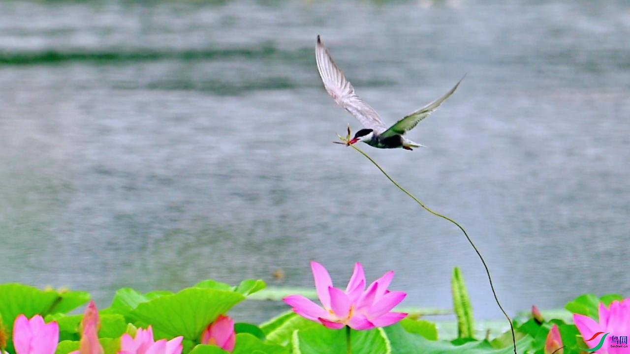 ��������븡Ÿ