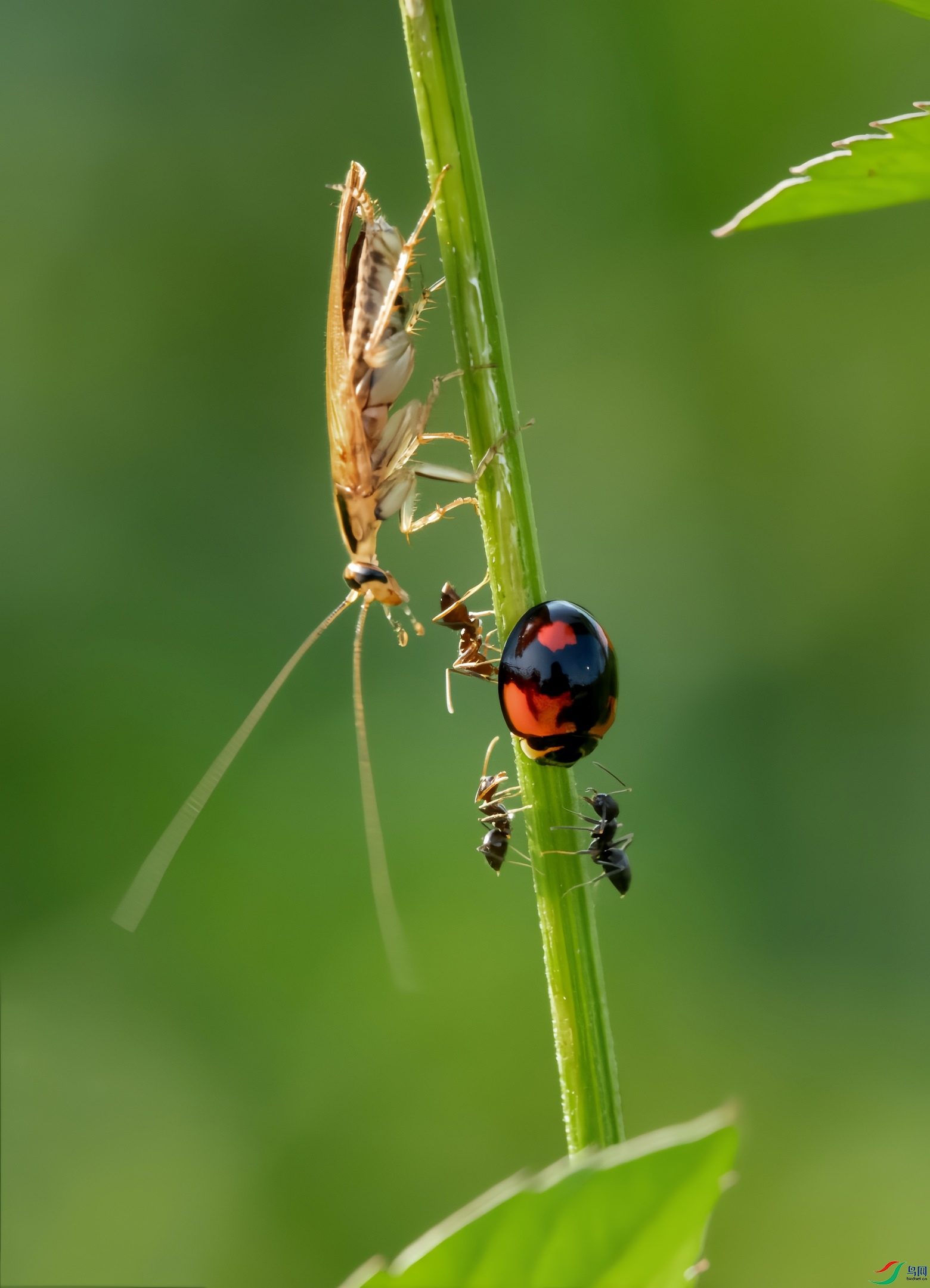 _DSC5957_����01.jpg