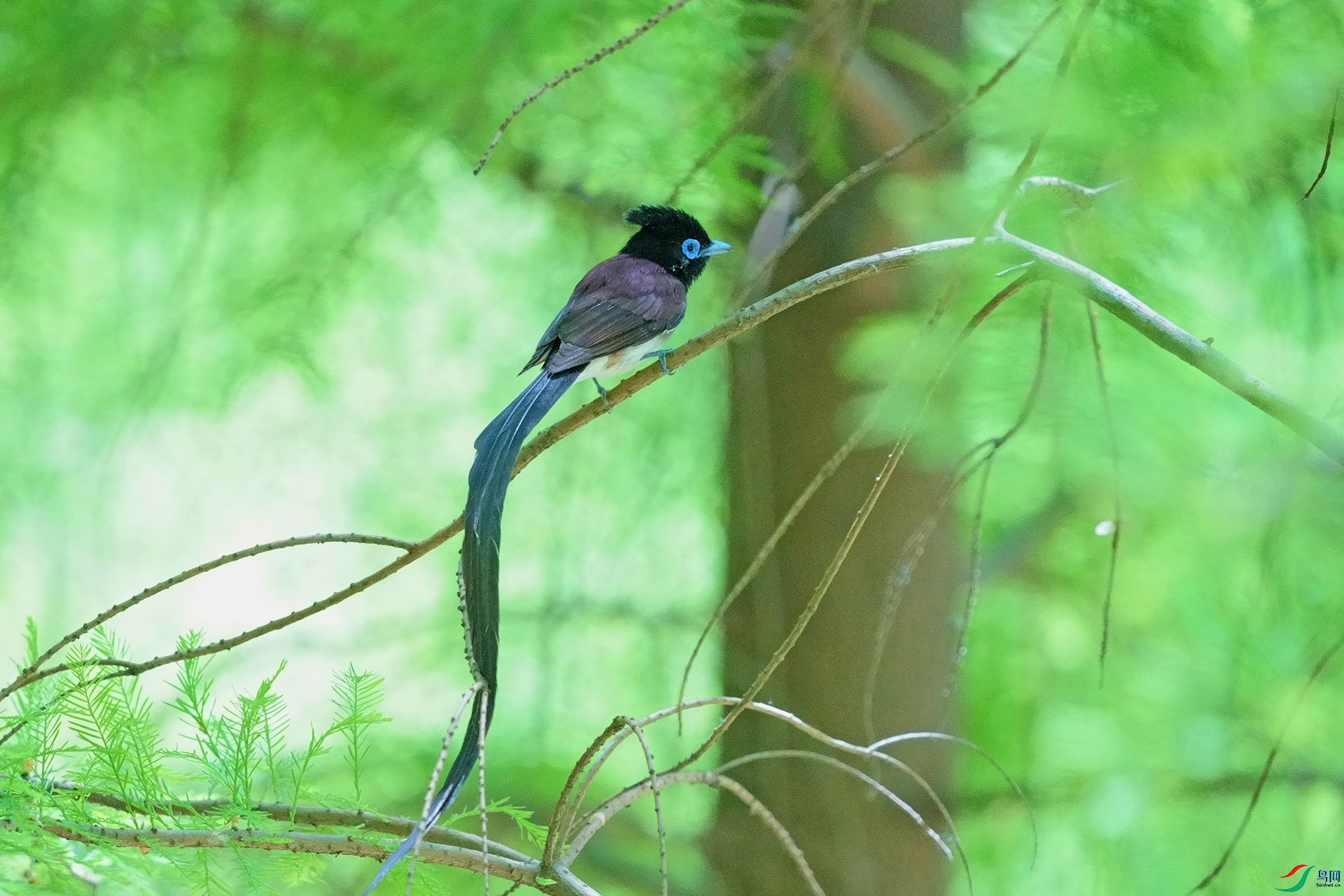 DSC02894-1.jpg