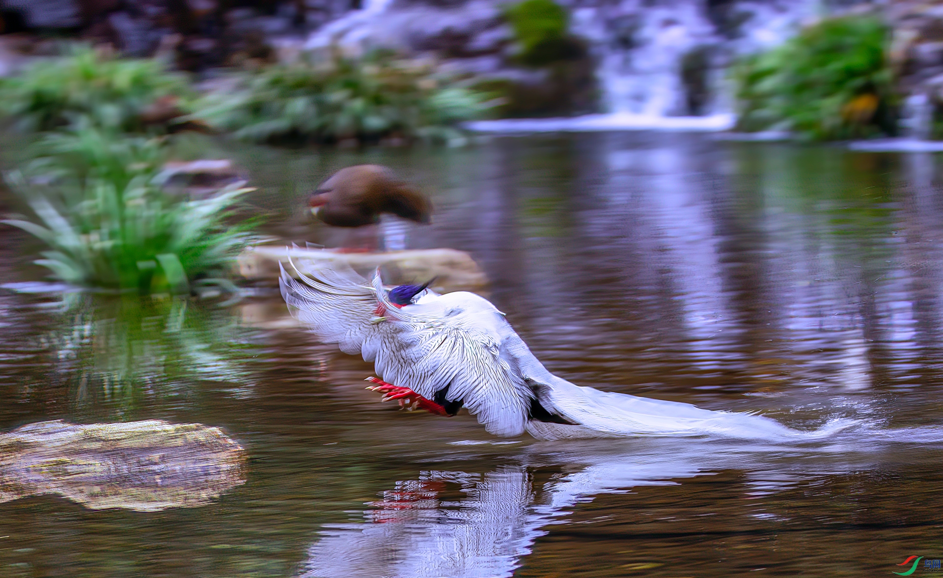 407A0605 ����-Sh----1 .jpg