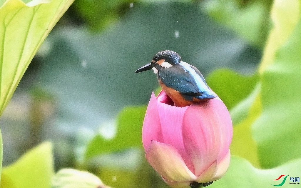 DSC_3620.JPG