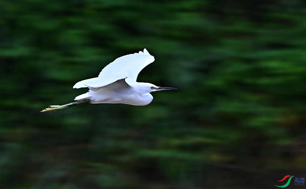 DSC_3783.JPG
