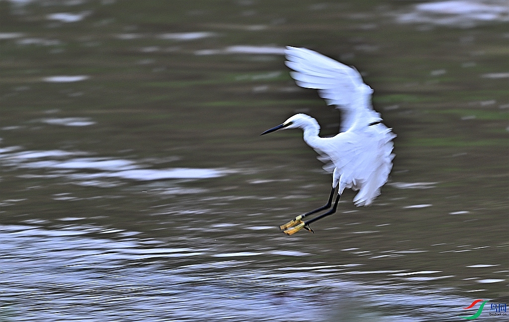 DSC_3796.JPG