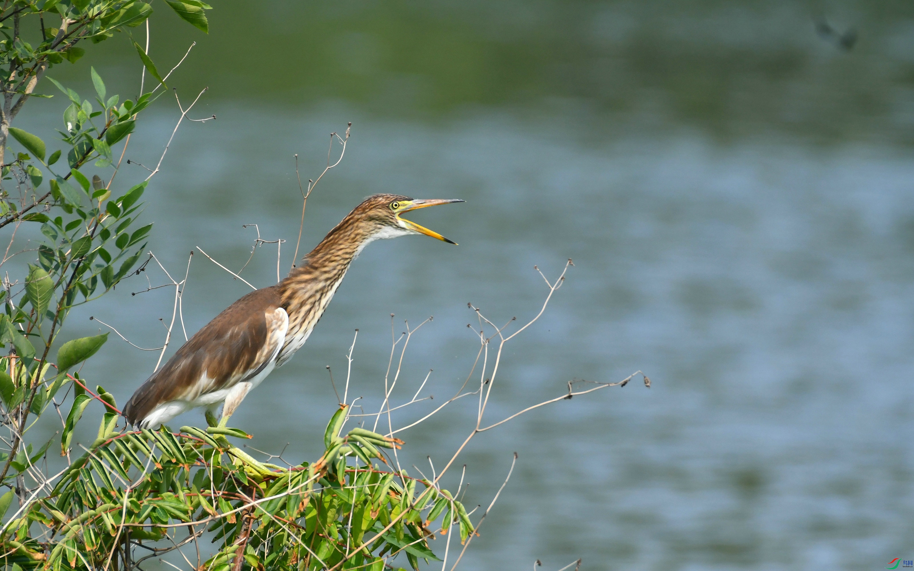 DSC_9722.JPG