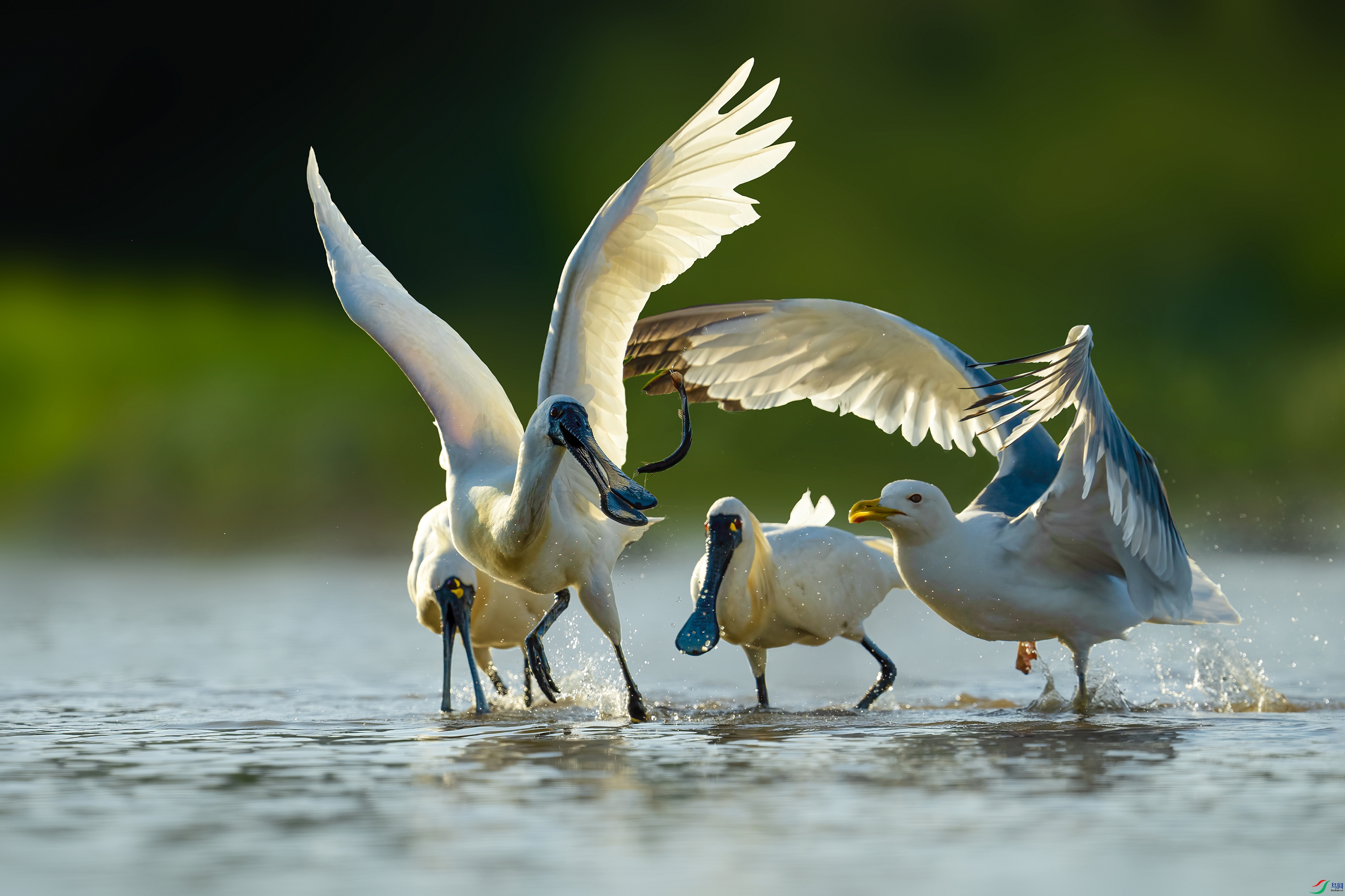 DSC09275 ���� .jpg