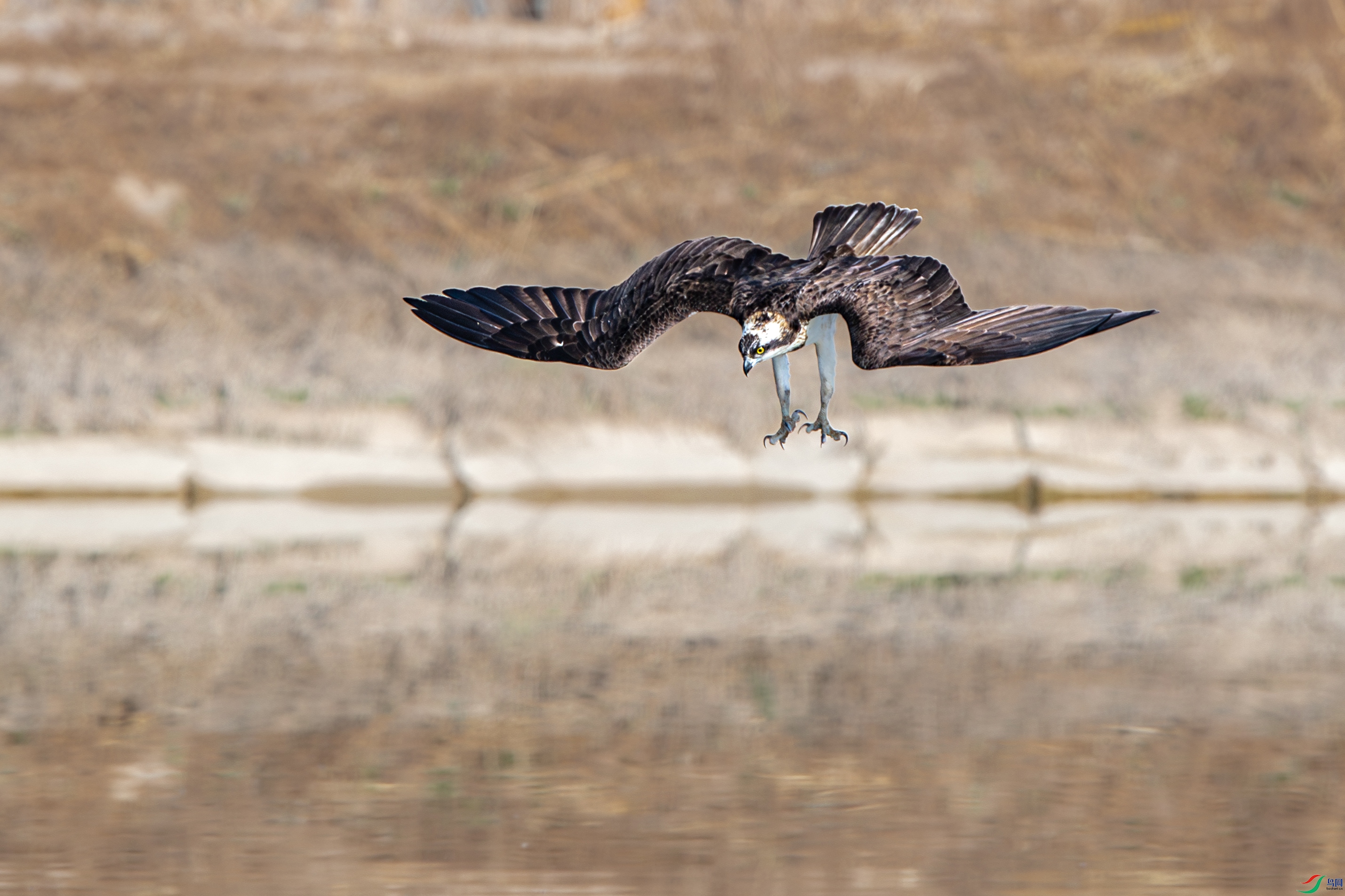 AY8I0063����- ����.jpg