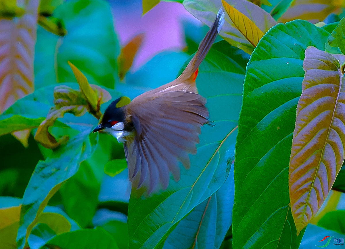 DSC_3081.JPG