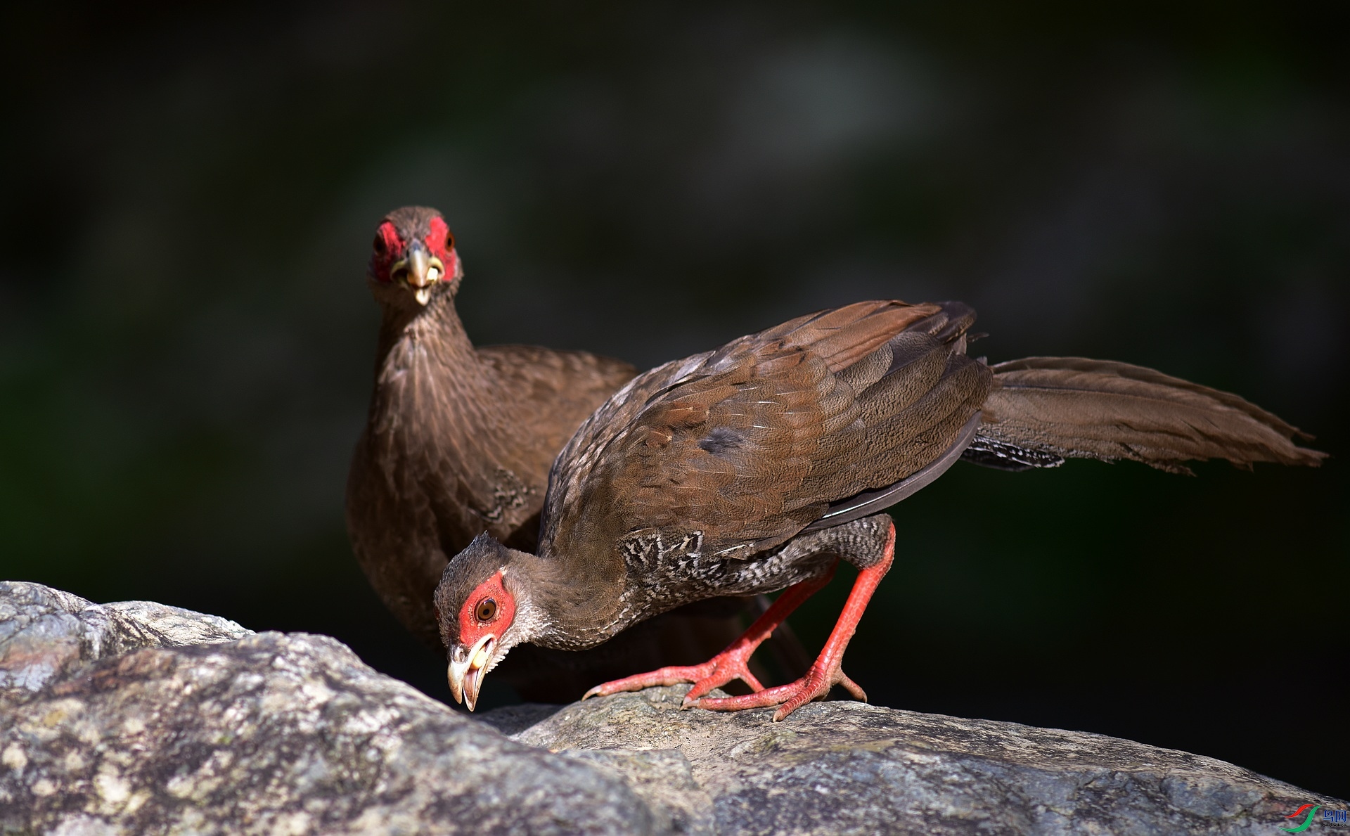 D8I_3732.jpg