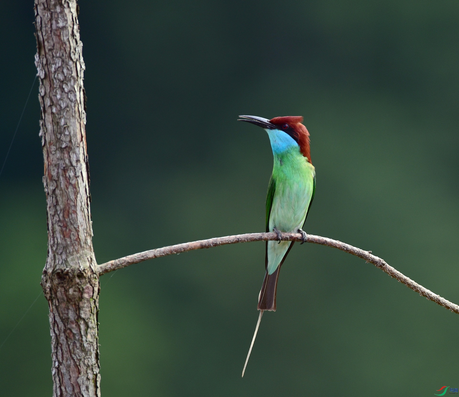 D8I_3472.jpg
