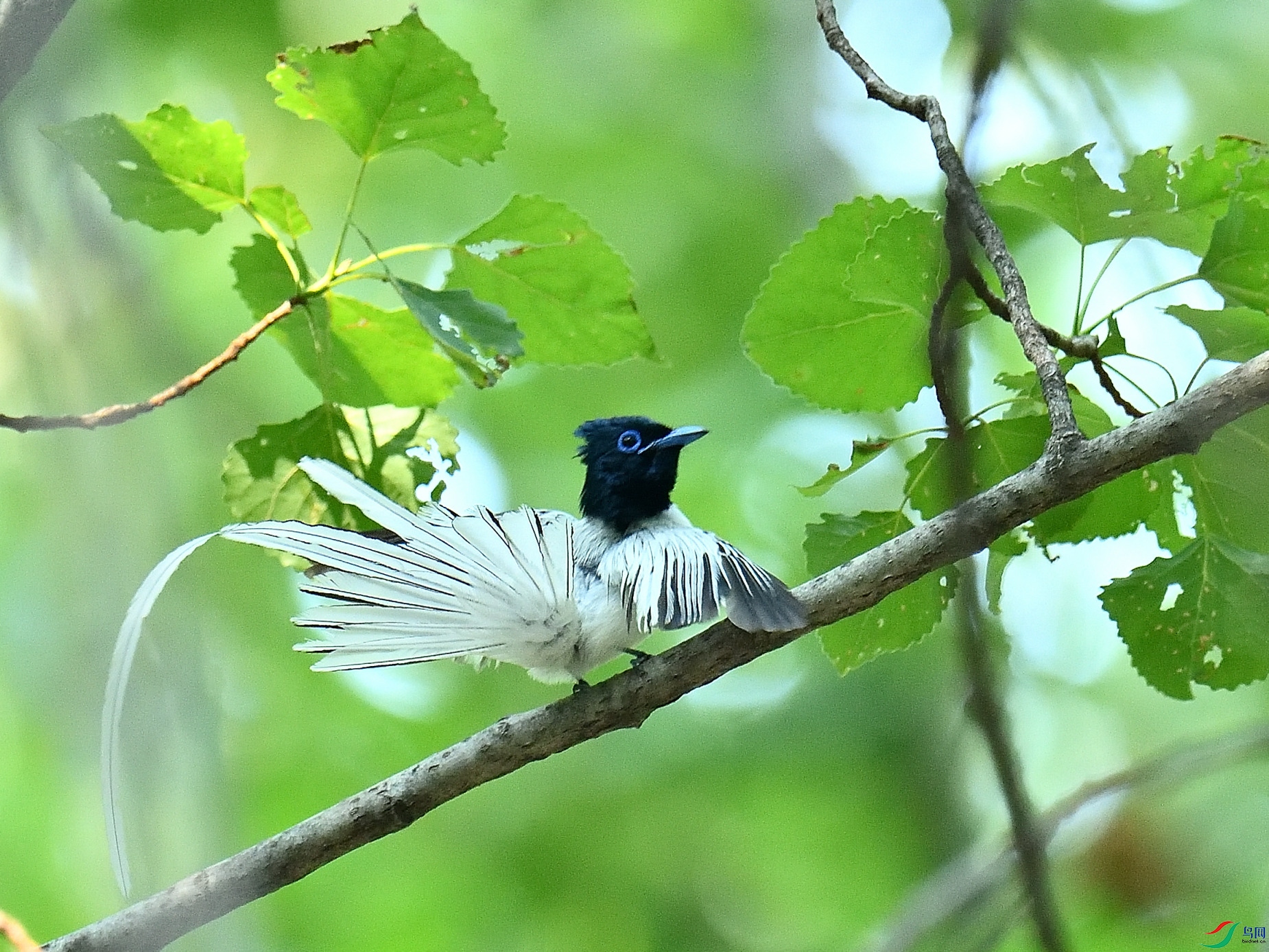 DSC_5333.JPG