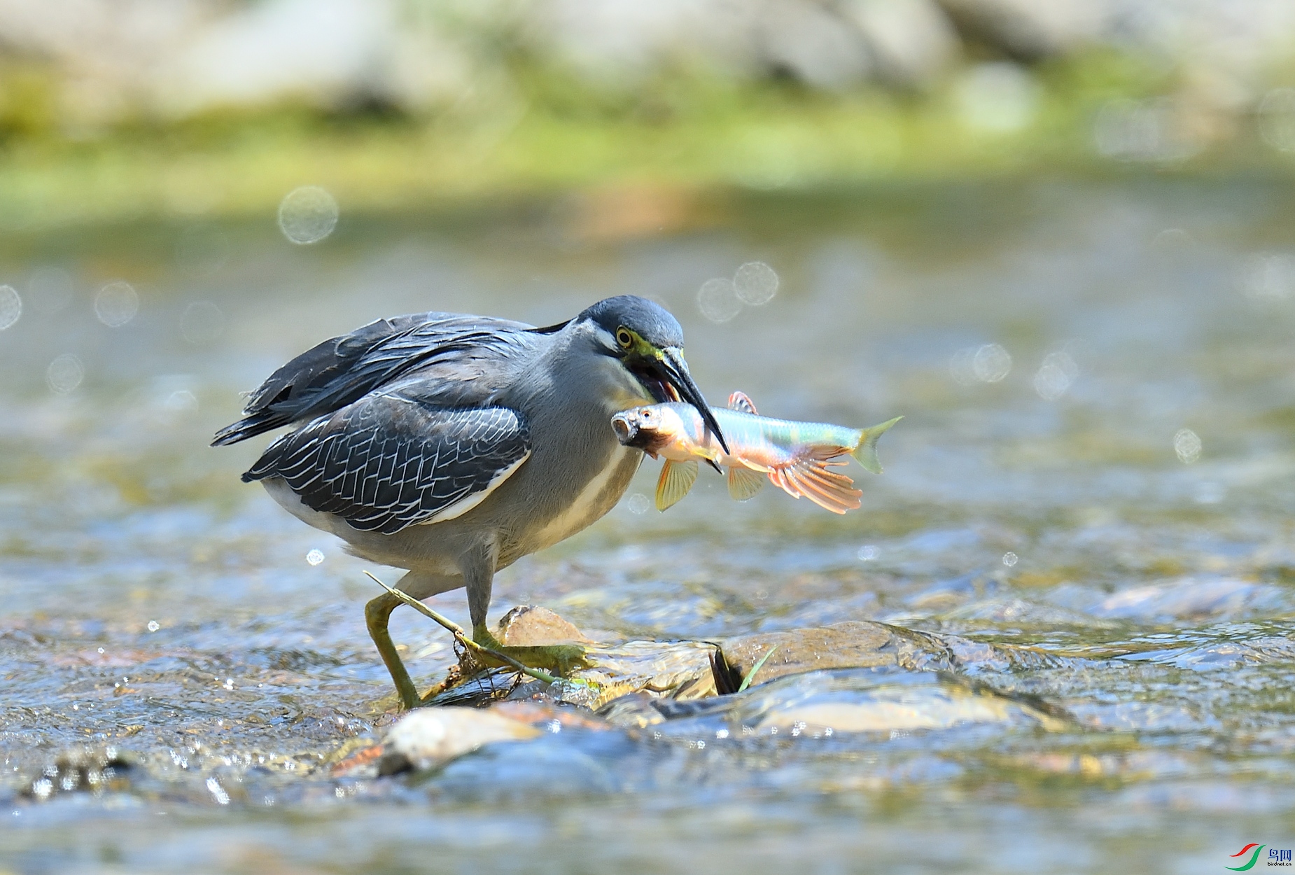 DSC_2074.JPG