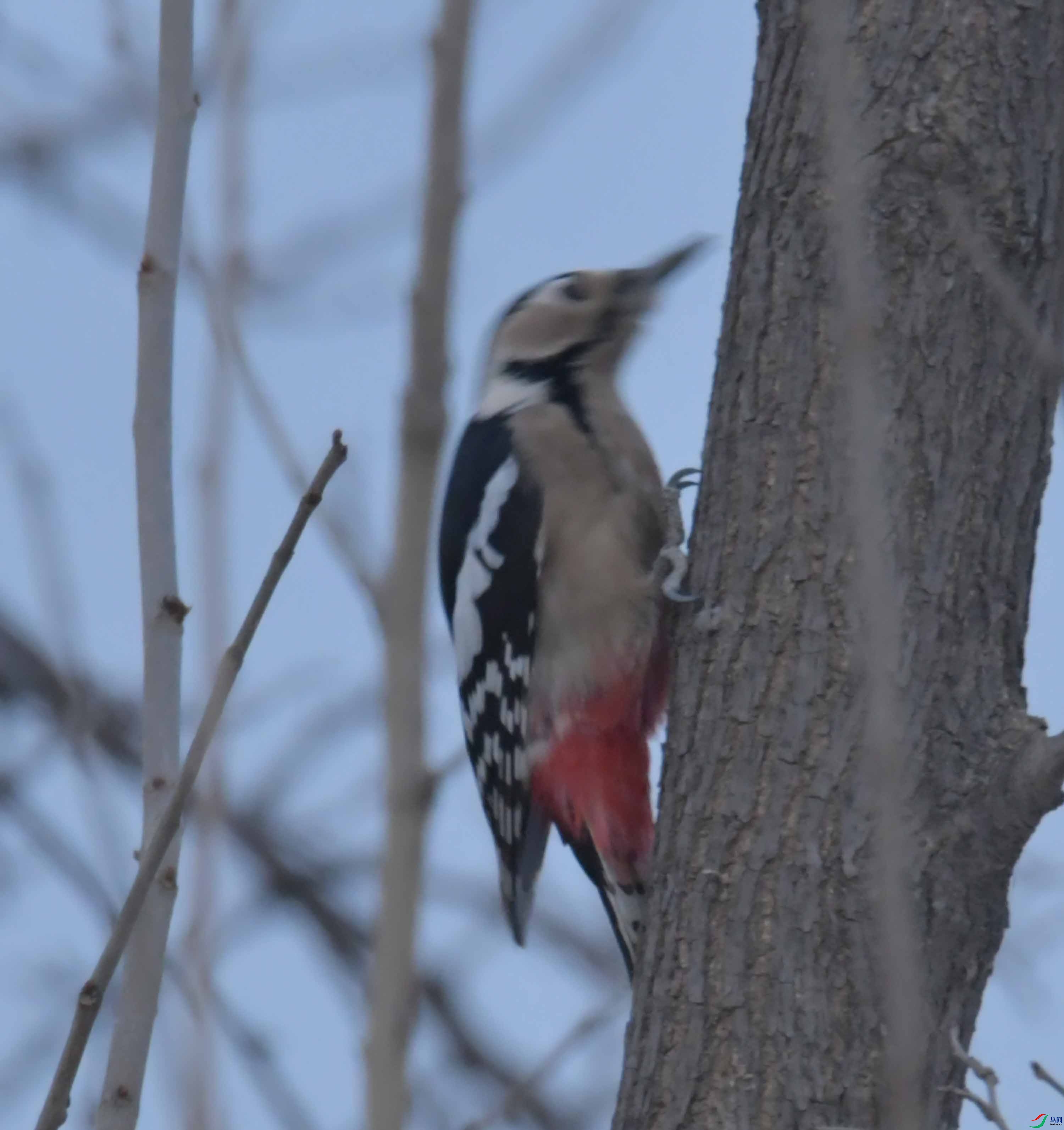DSC_8460.JPG