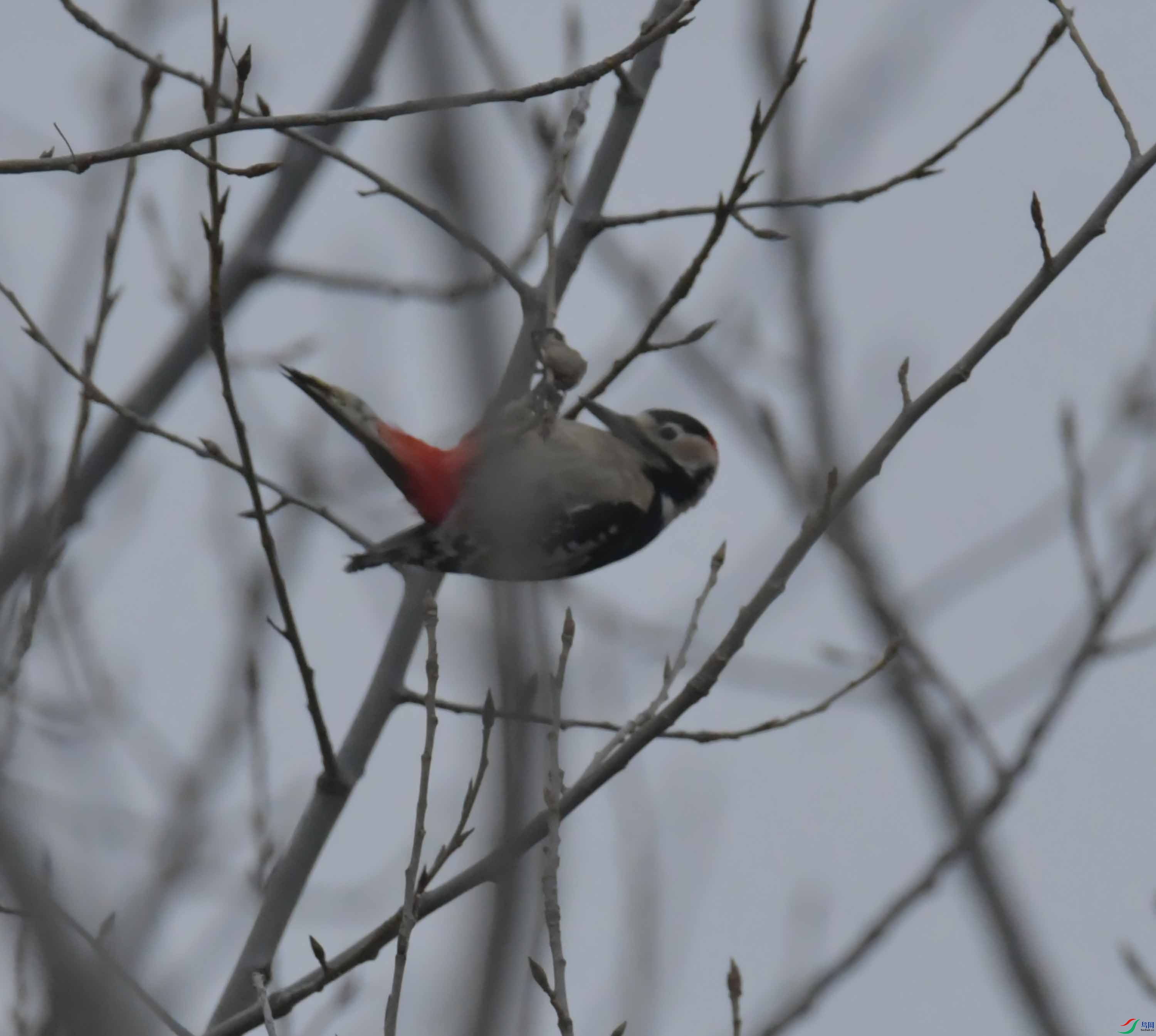 DSC_9159.JPG