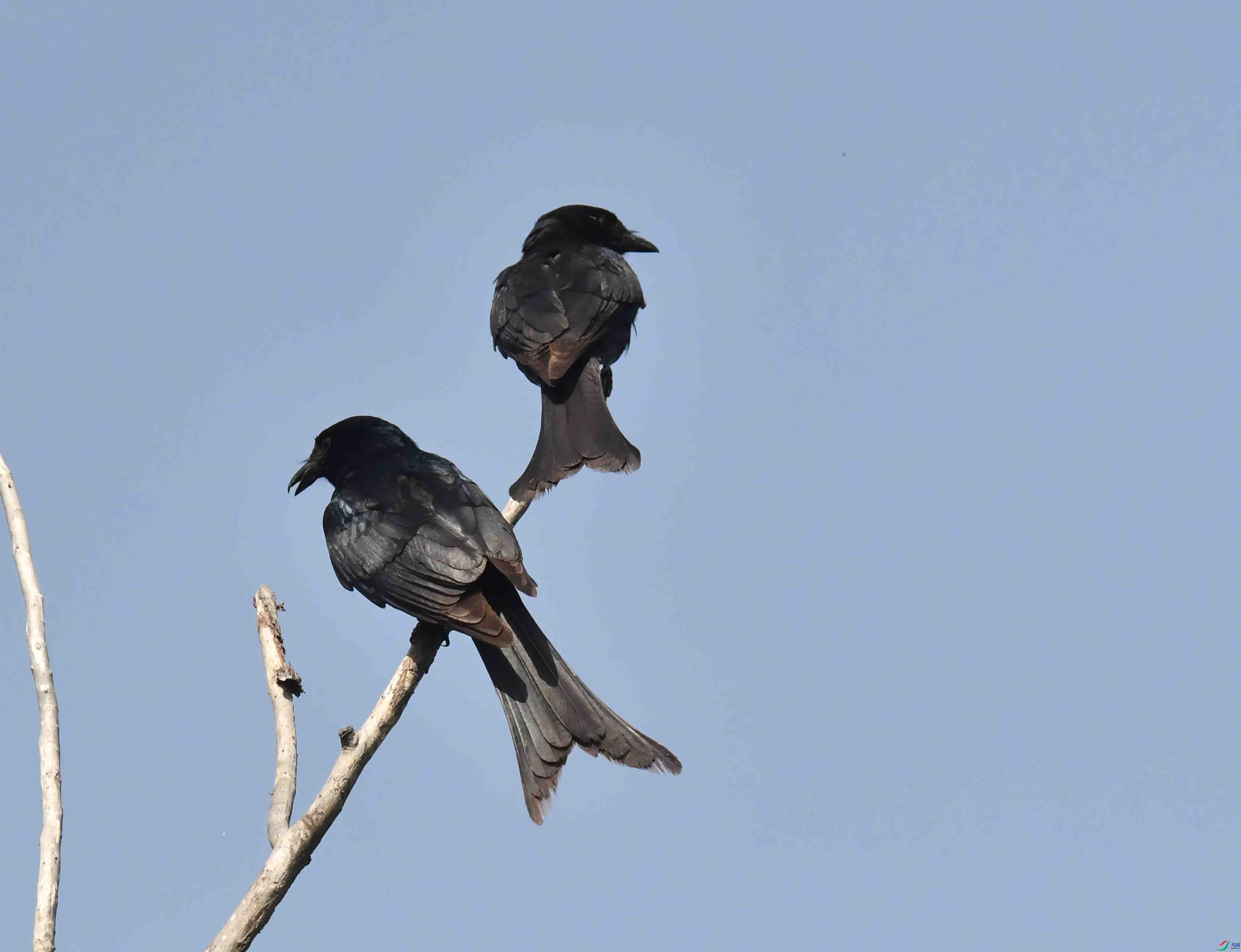 DSC_5412.JPG