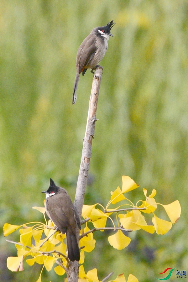 DSC_5661.JPG