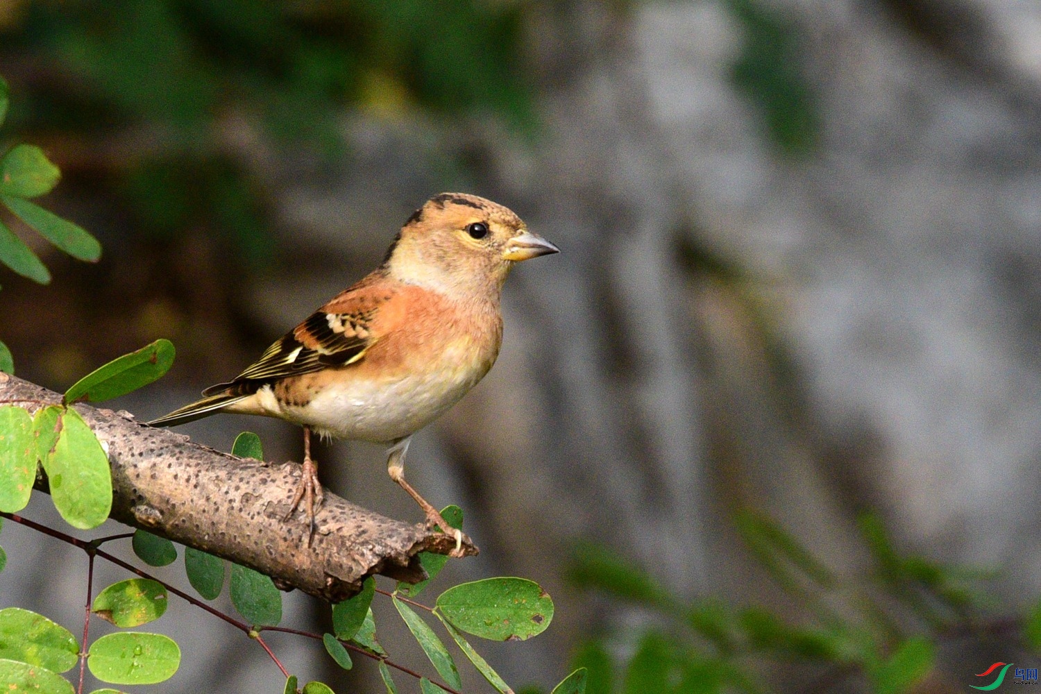 DSC_6541.JPG