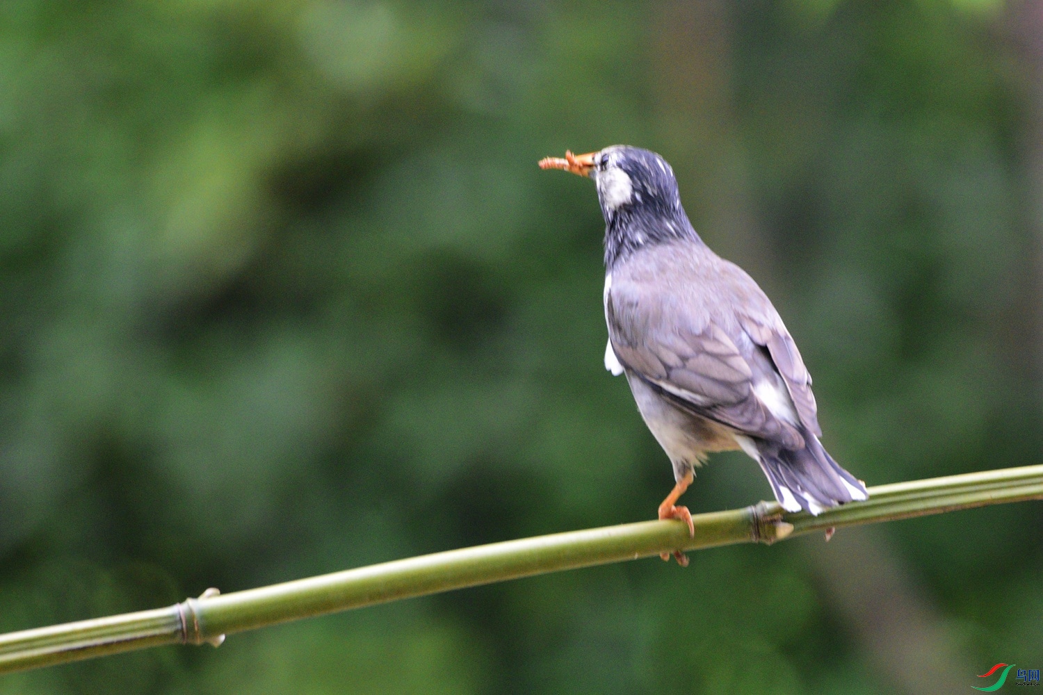 DSC_0547.JPG